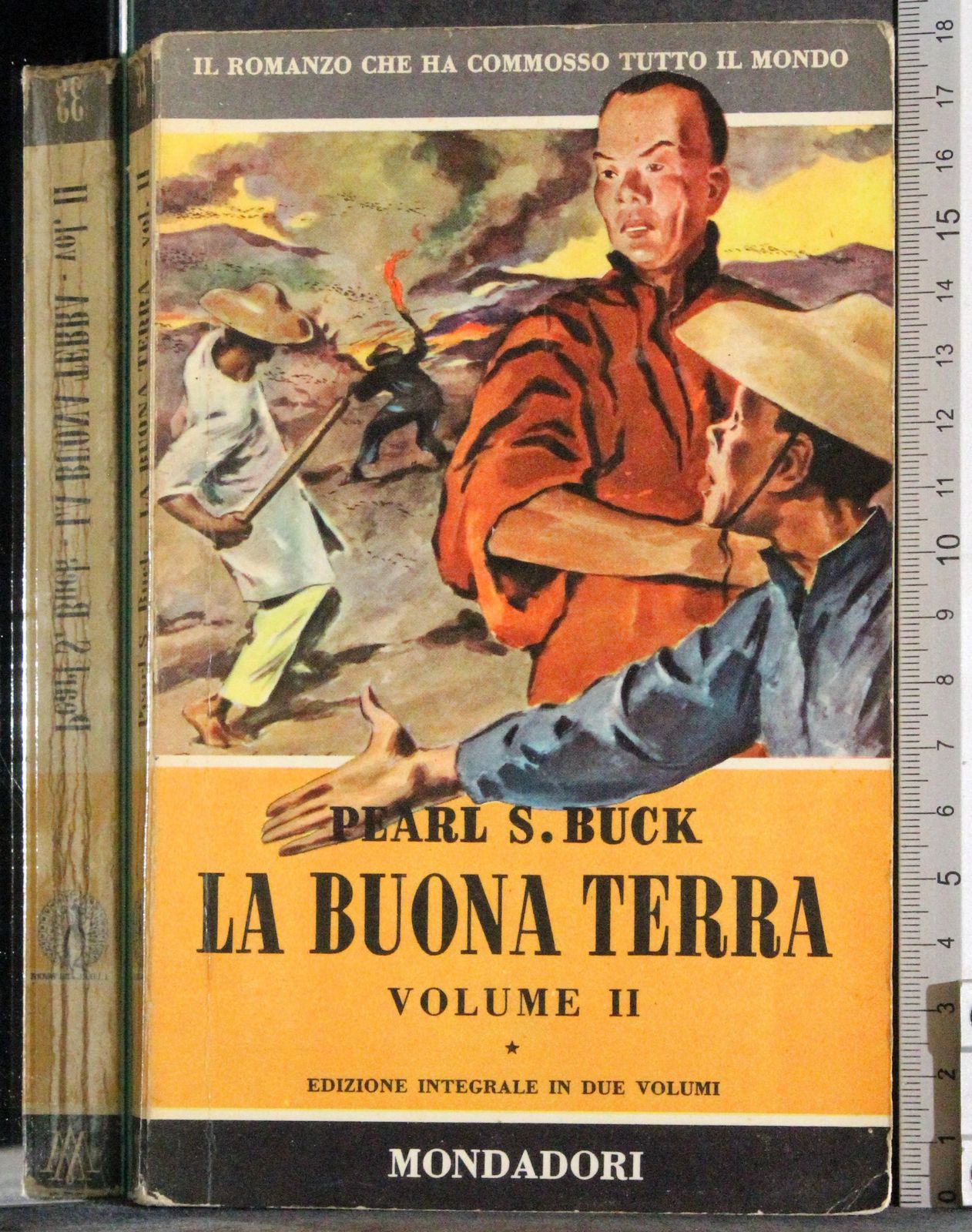 La buona terra. Vol II