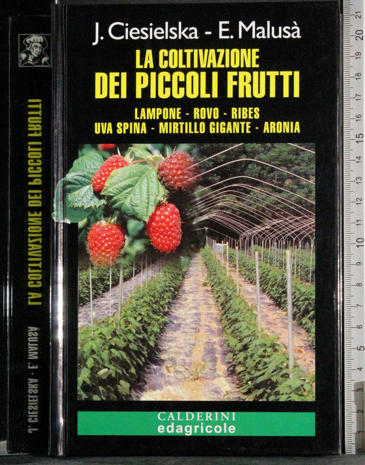 La coltivazione dei piccoli frutti