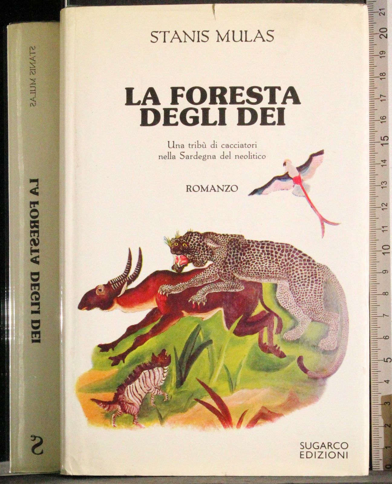 La foresta degli dei