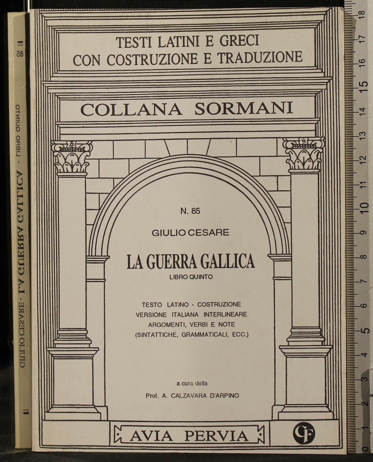 LA GUERRA GALLICA. LIBRO QUINTO