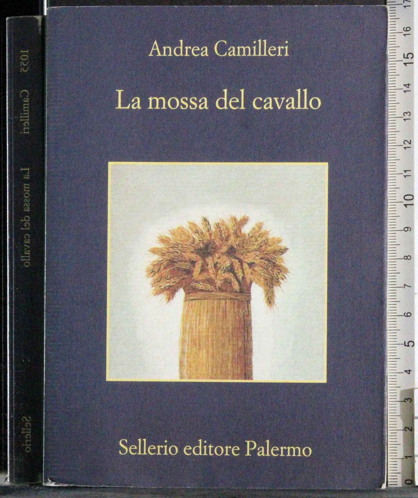 La mossa del cavallo