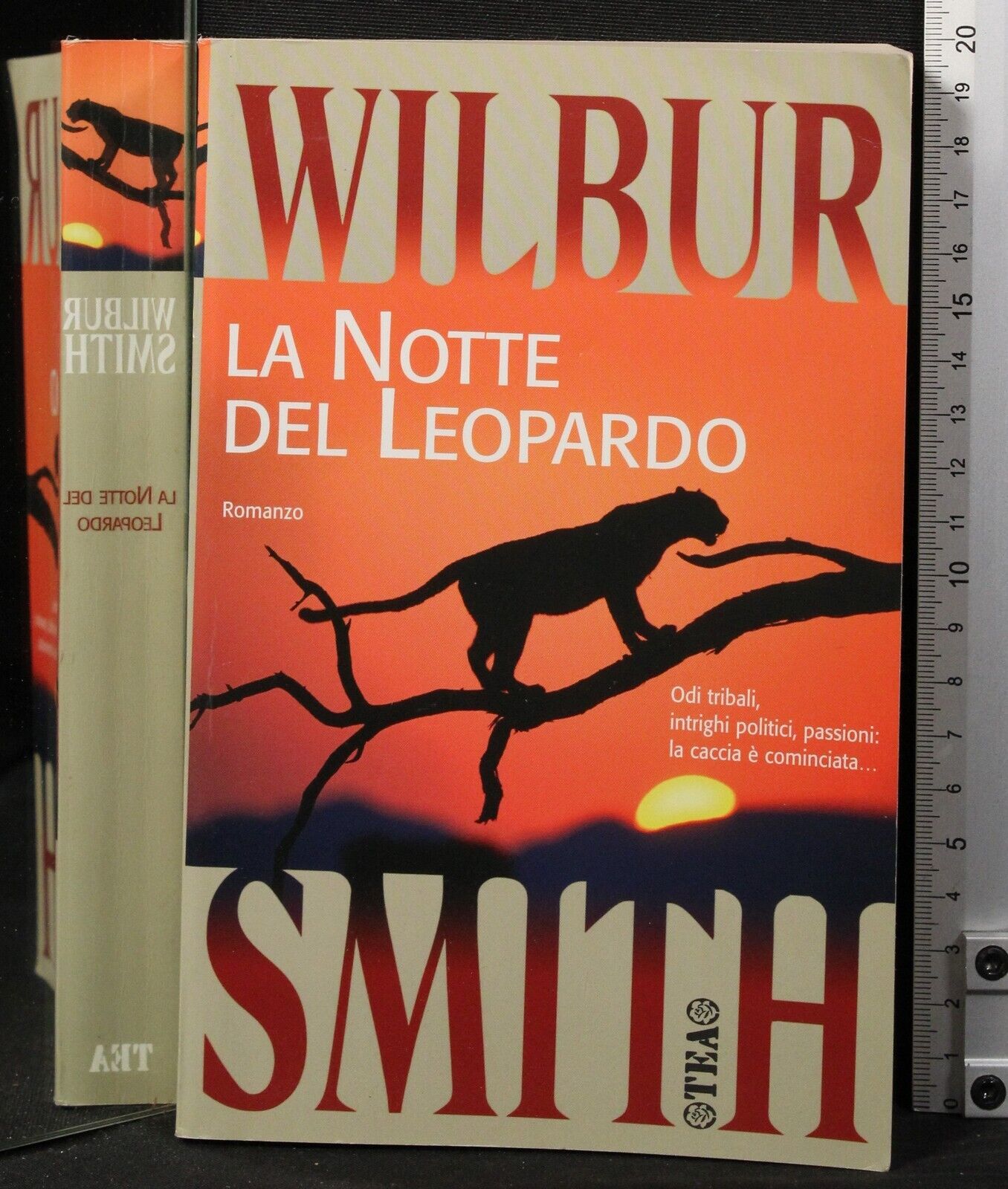 La notte del leopardo