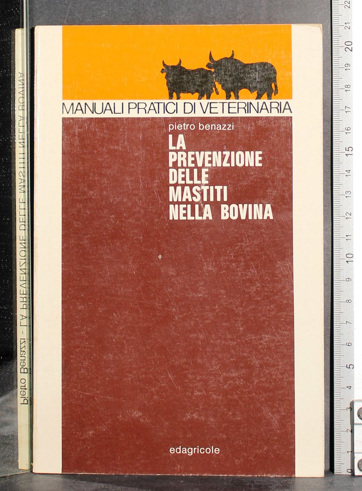 La prevenzione delle mastiti nella Bovina