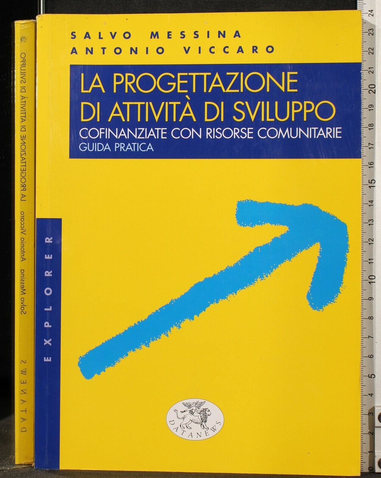 La progettazione di attività di sviluppo