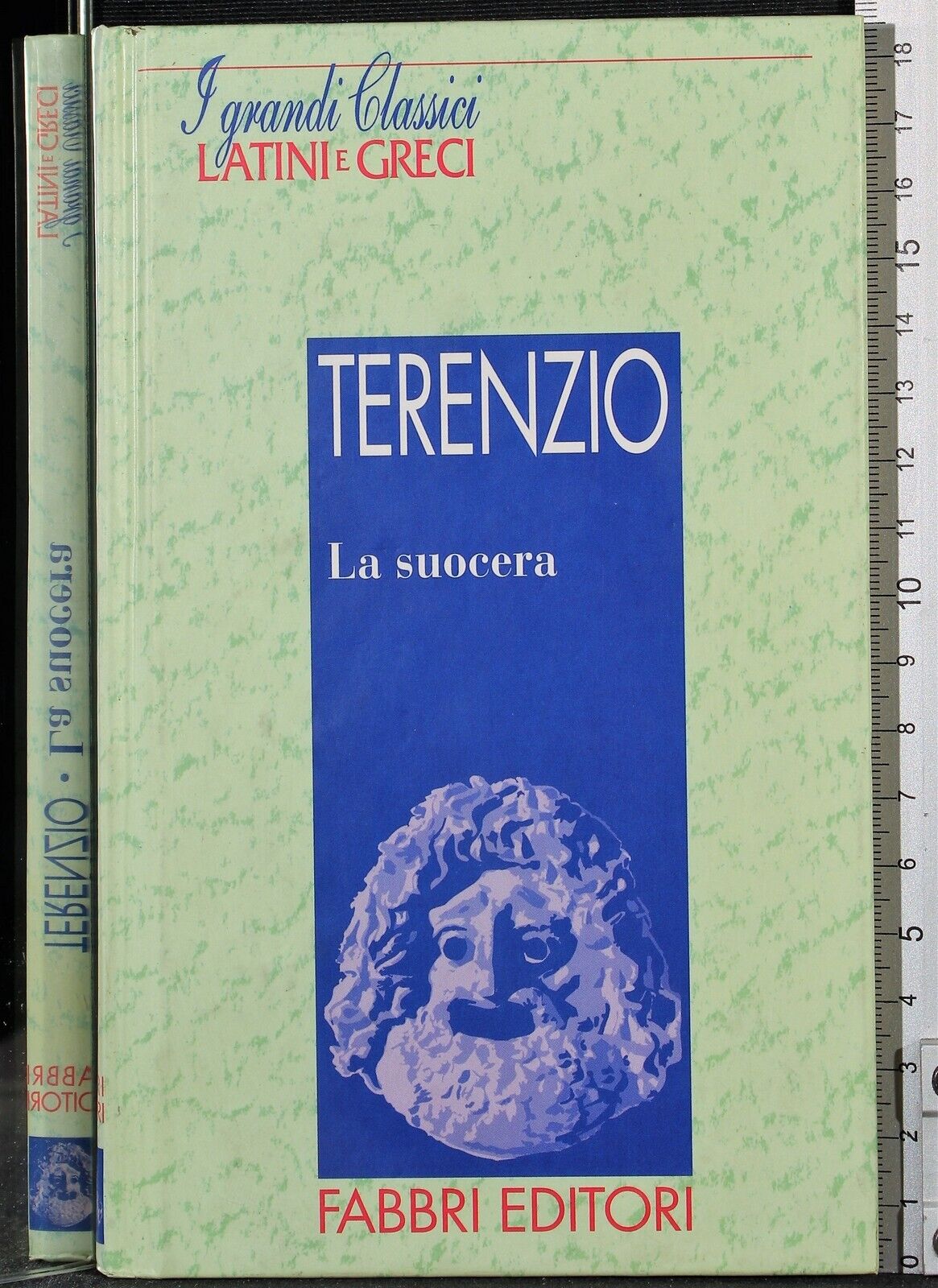 La scuocera