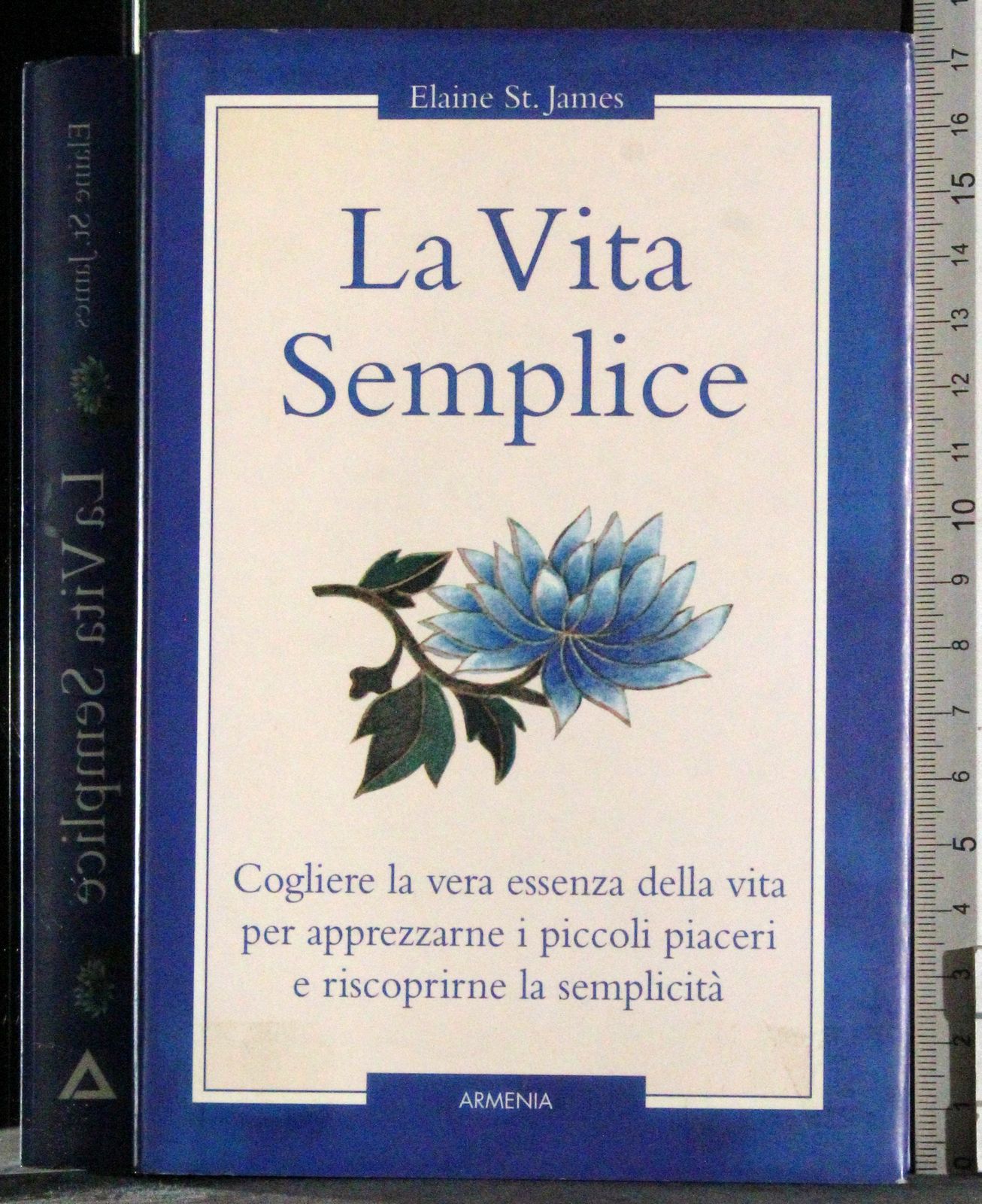 La vita semplice