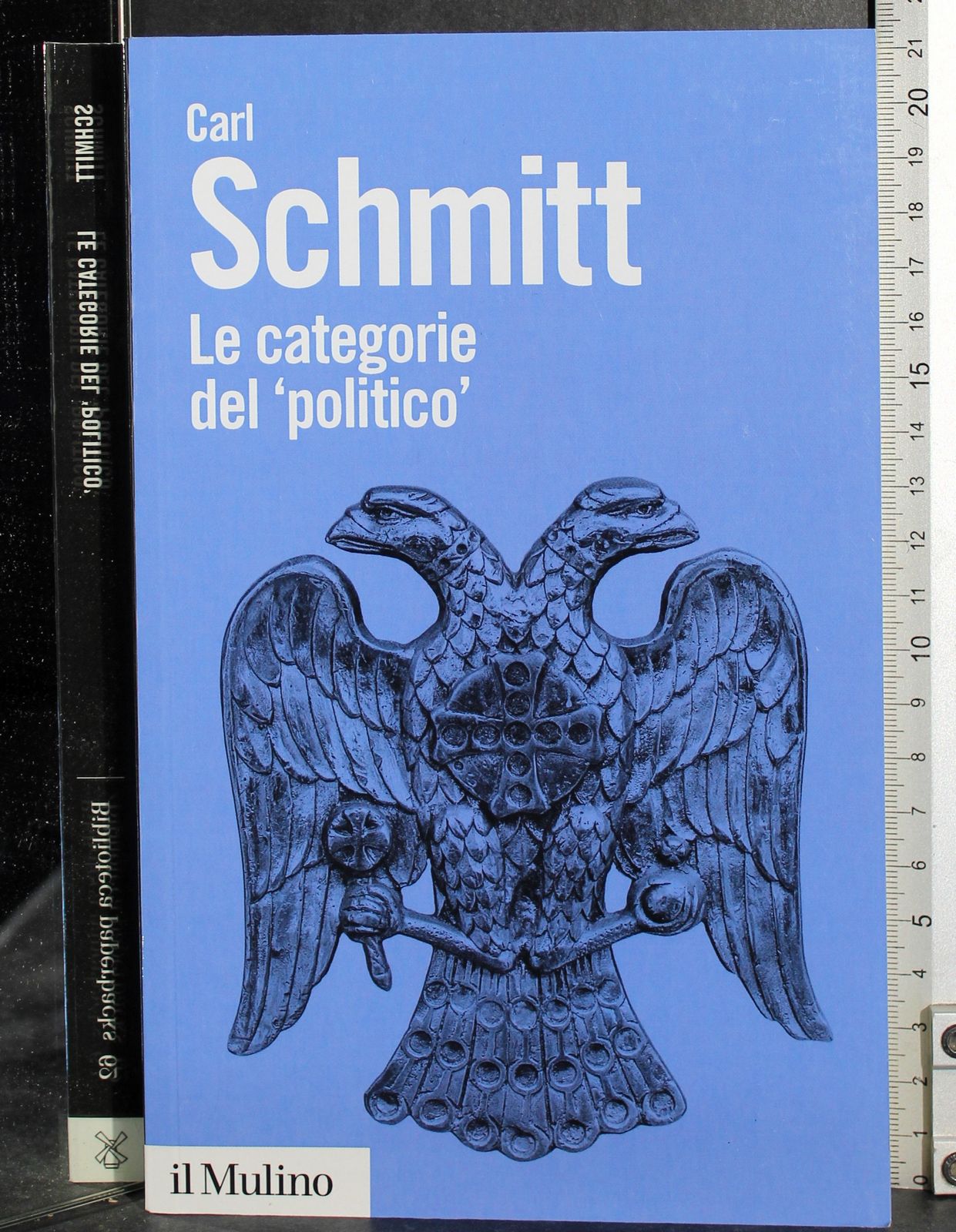 Le categorie del ''politico''