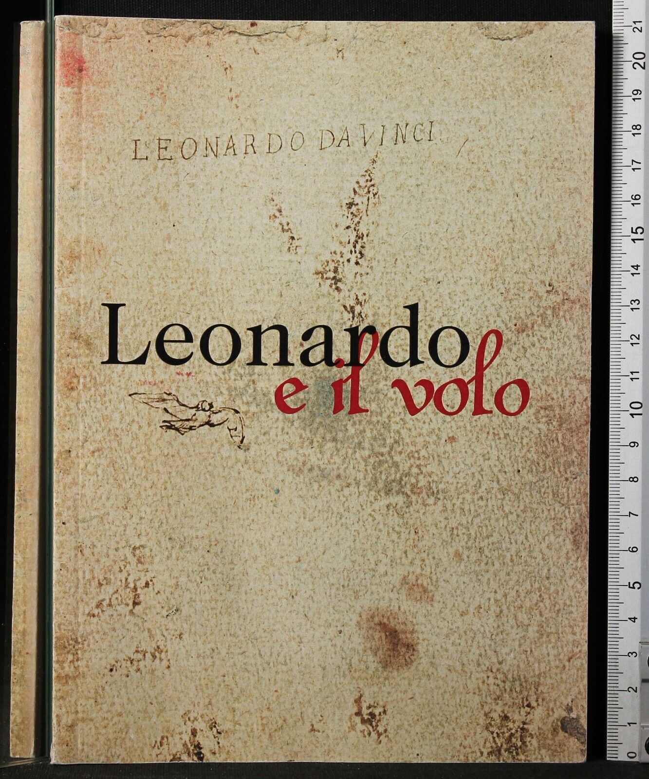 LEONARDO E IL VOLO. MUSEI CAPITOLINI-PALAZZO CAFFARELLI