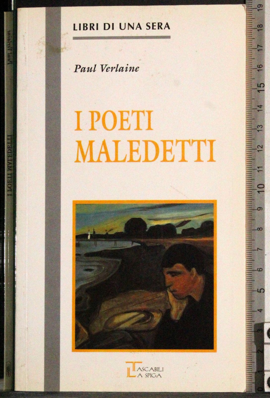 Libri di una sera. I poeti maledetti