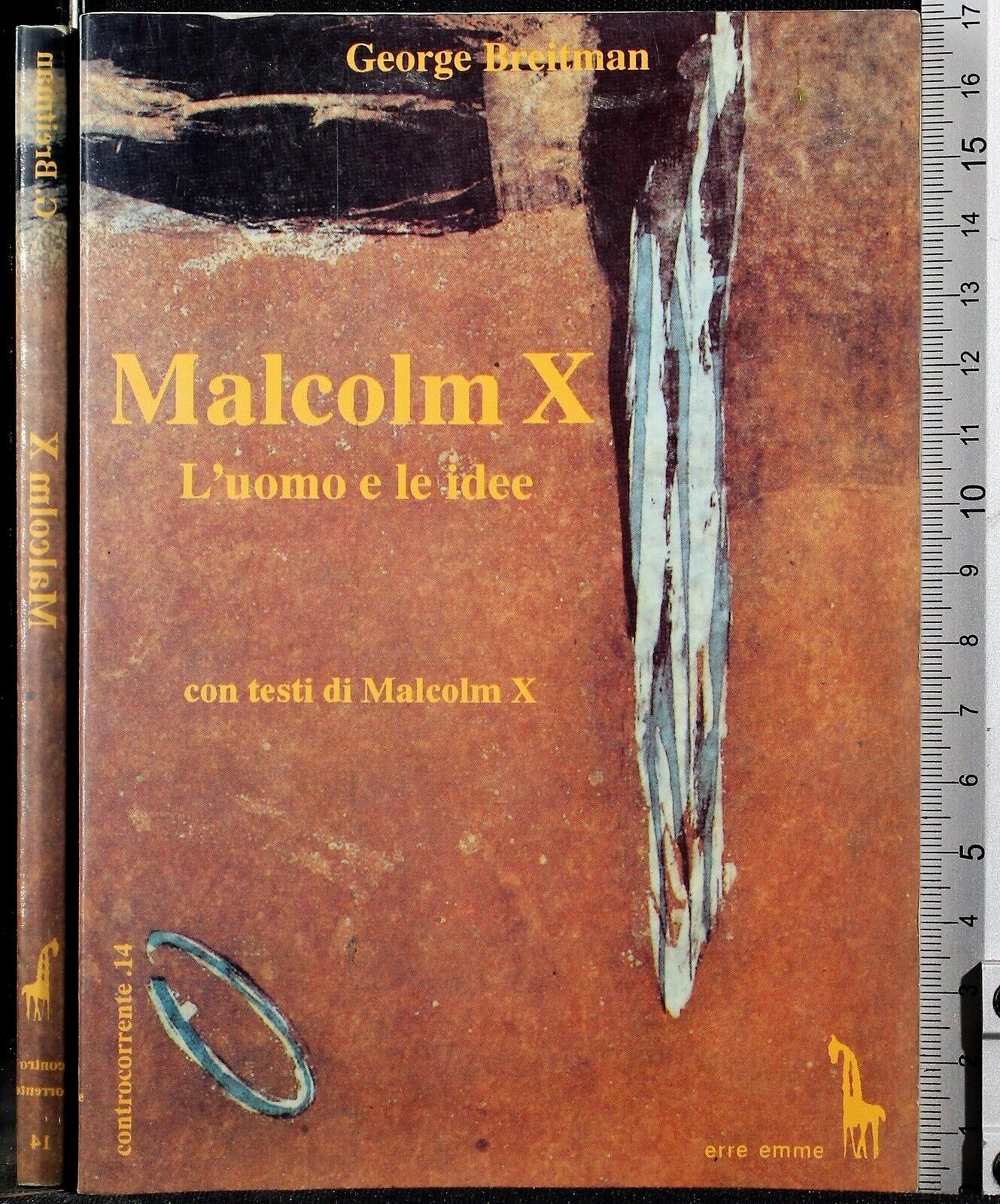 Malcolm X. L'Uomo e le idee