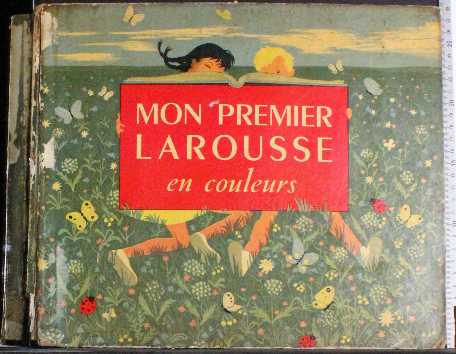 Mon premier Larousse en couleurs