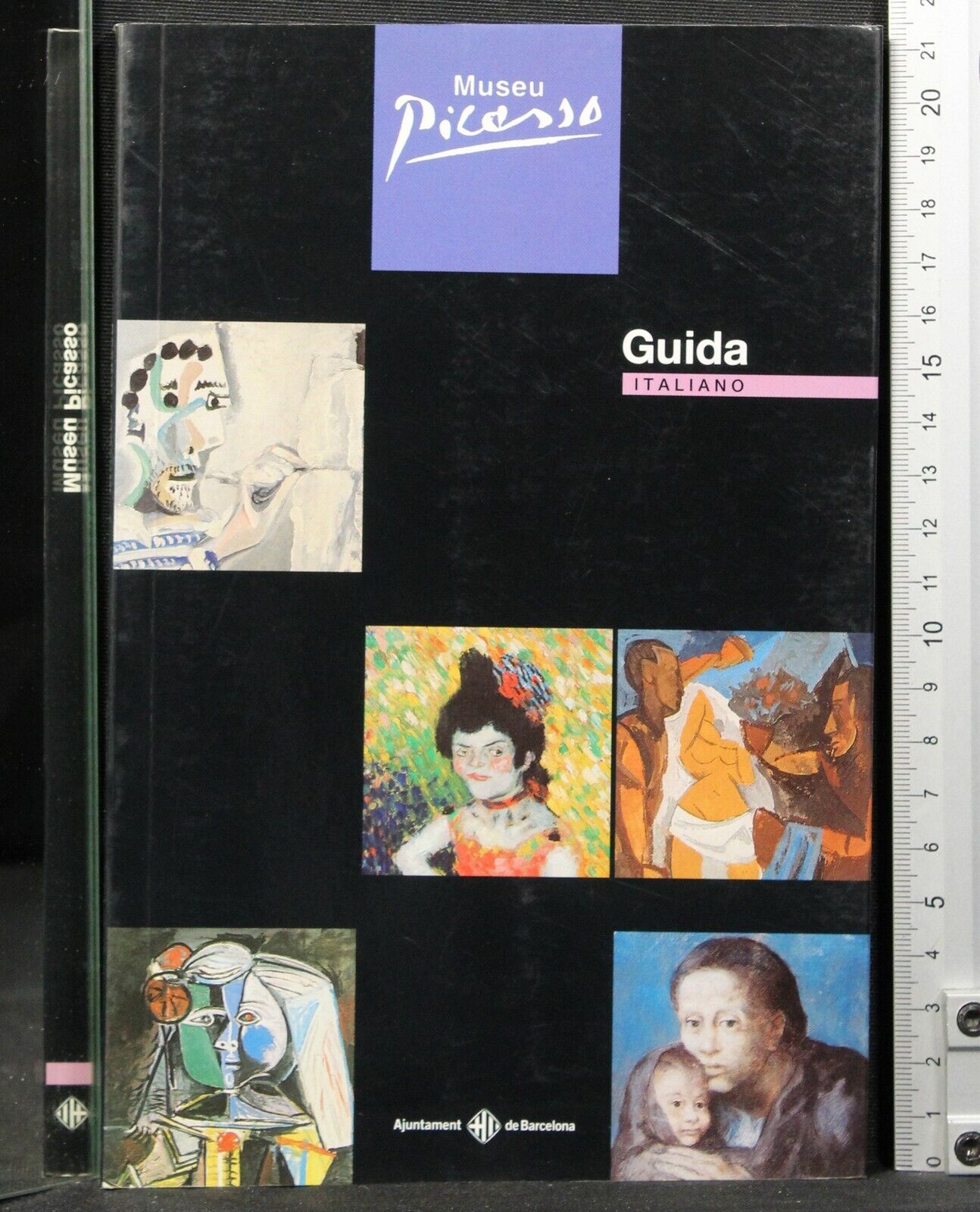 Museu Picassu