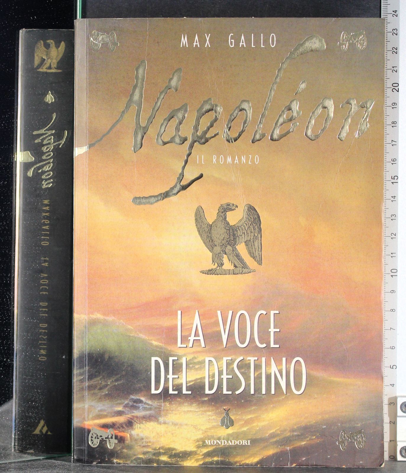 Napoleon. La voce del destino