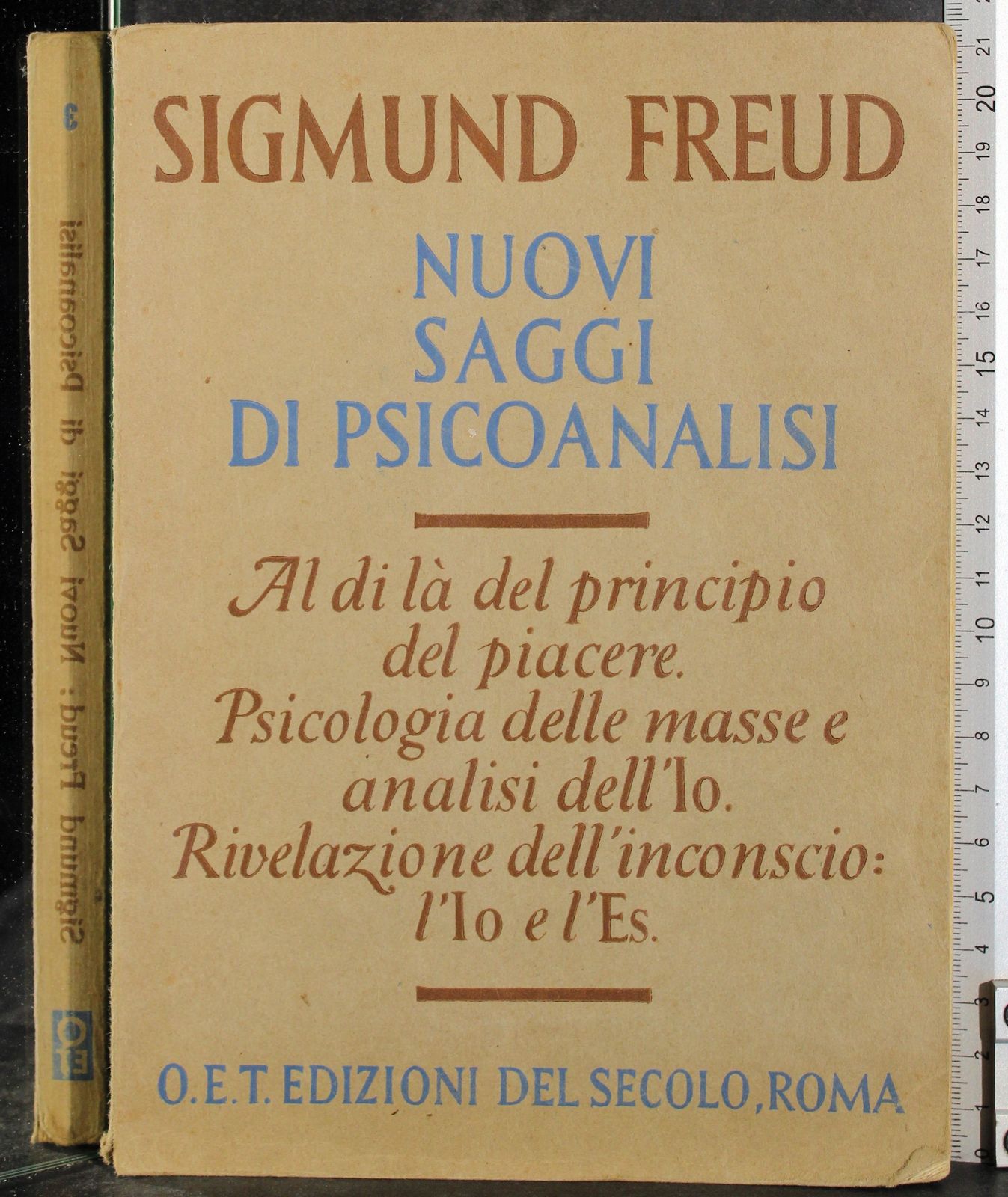 Nuovi saggi di Psicoanalisi