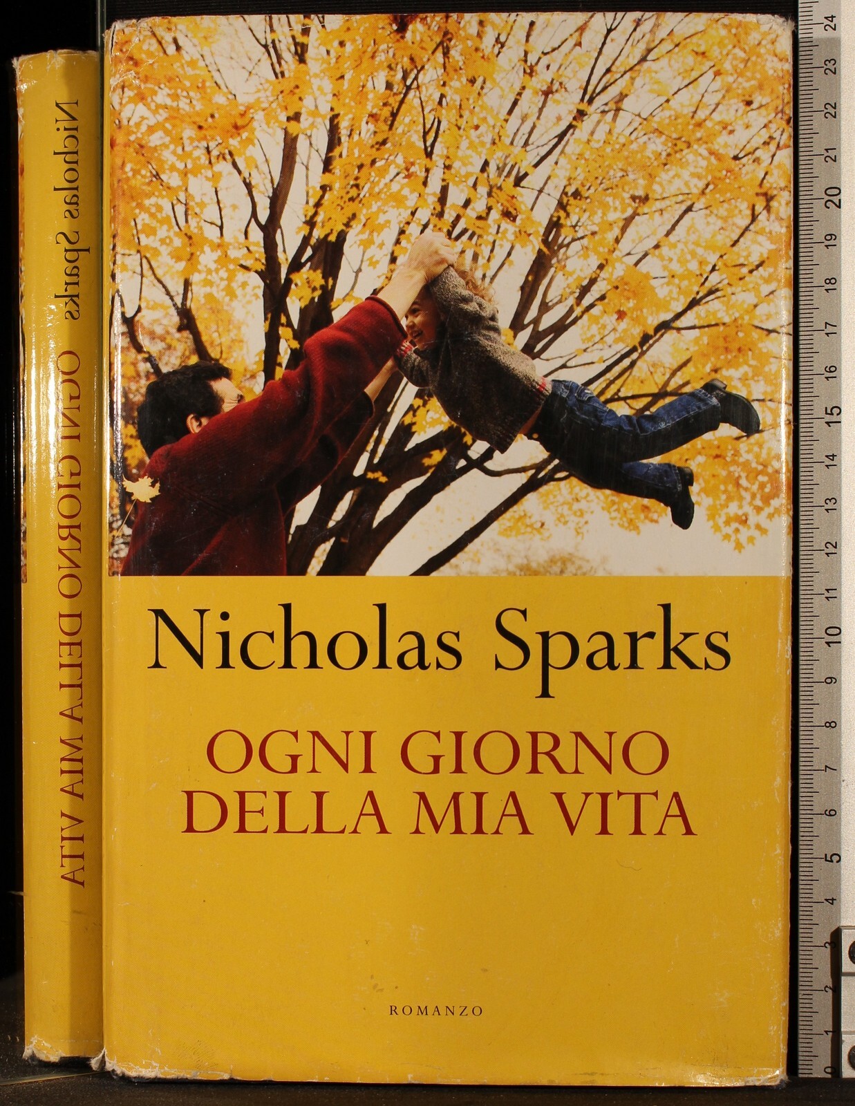 Ogni giorno della mia vita
