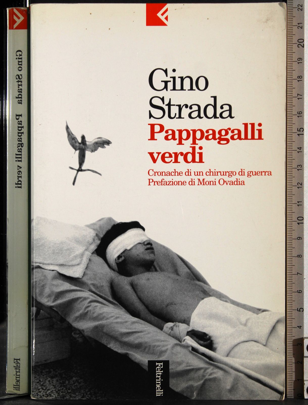 Pappagalli verdi