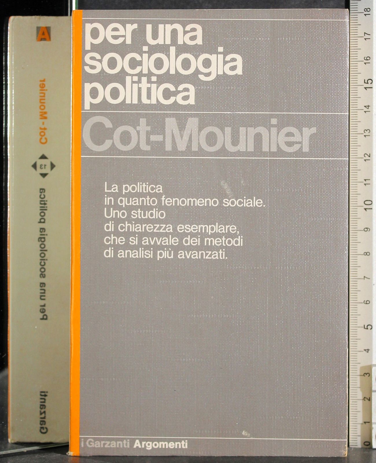 Per una sociologia politica