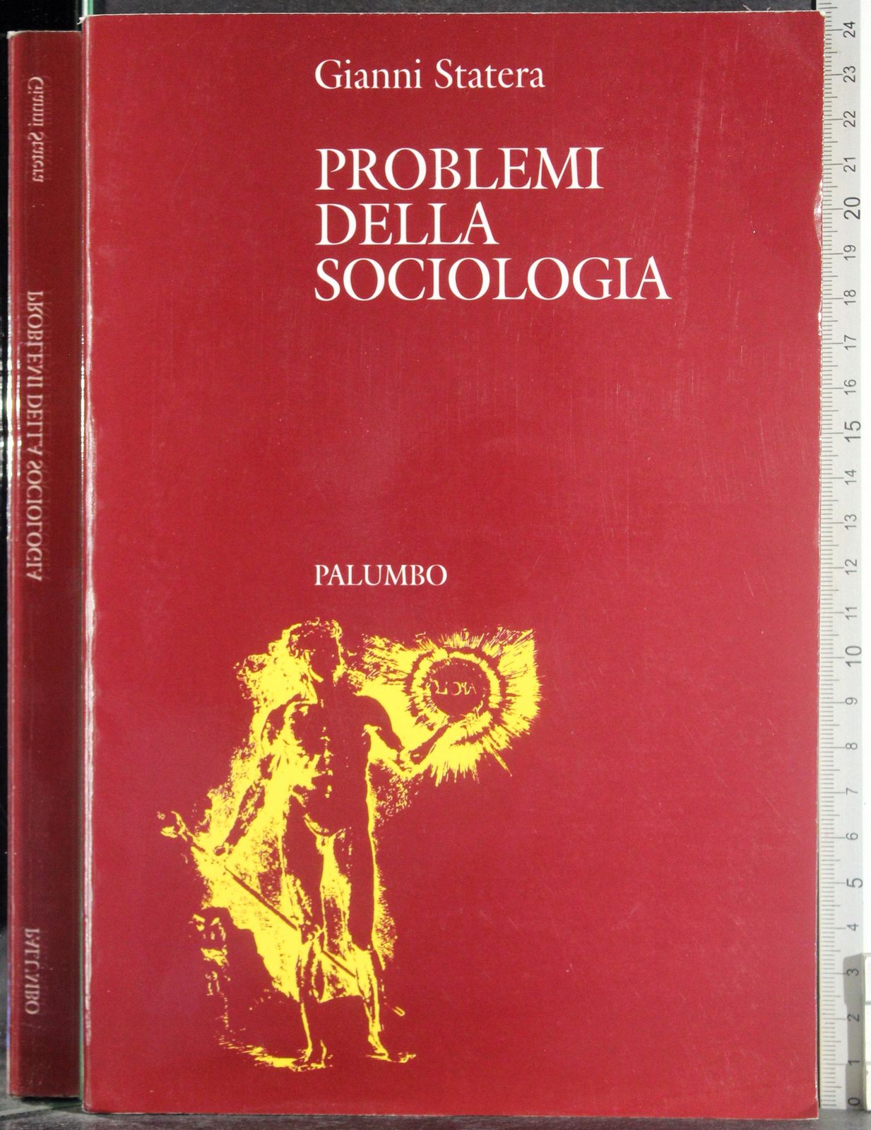 Problemi della sociologia