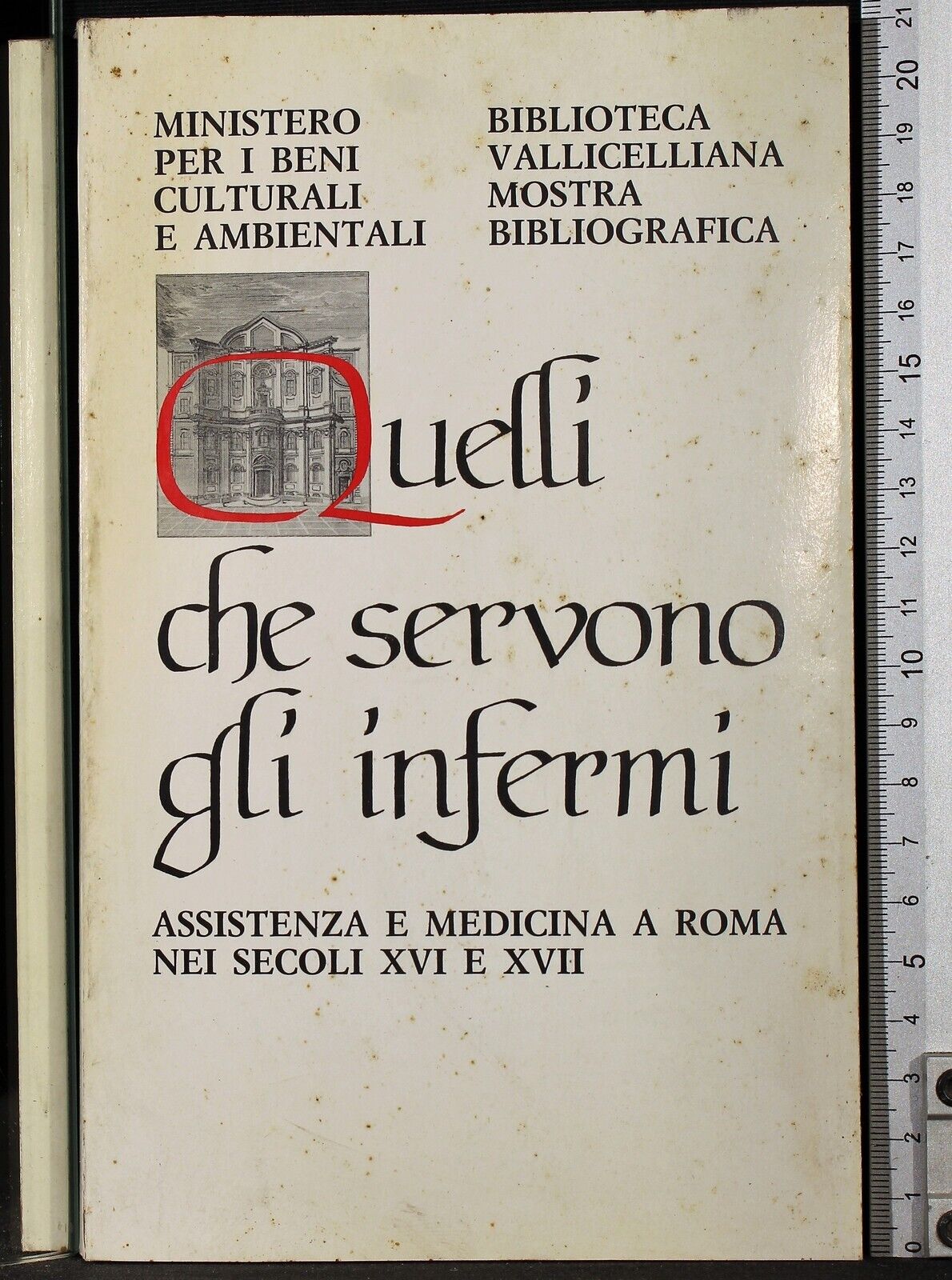 Quelli che servono gli infermi