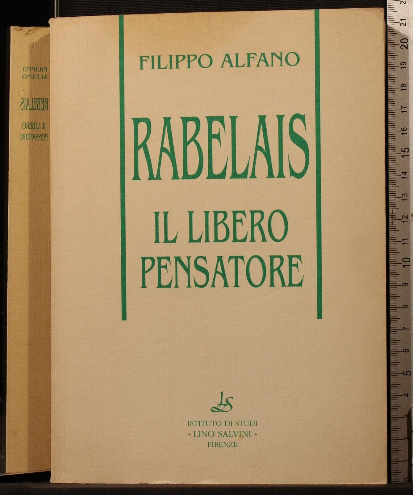 Rabelais. Il libro pensatore