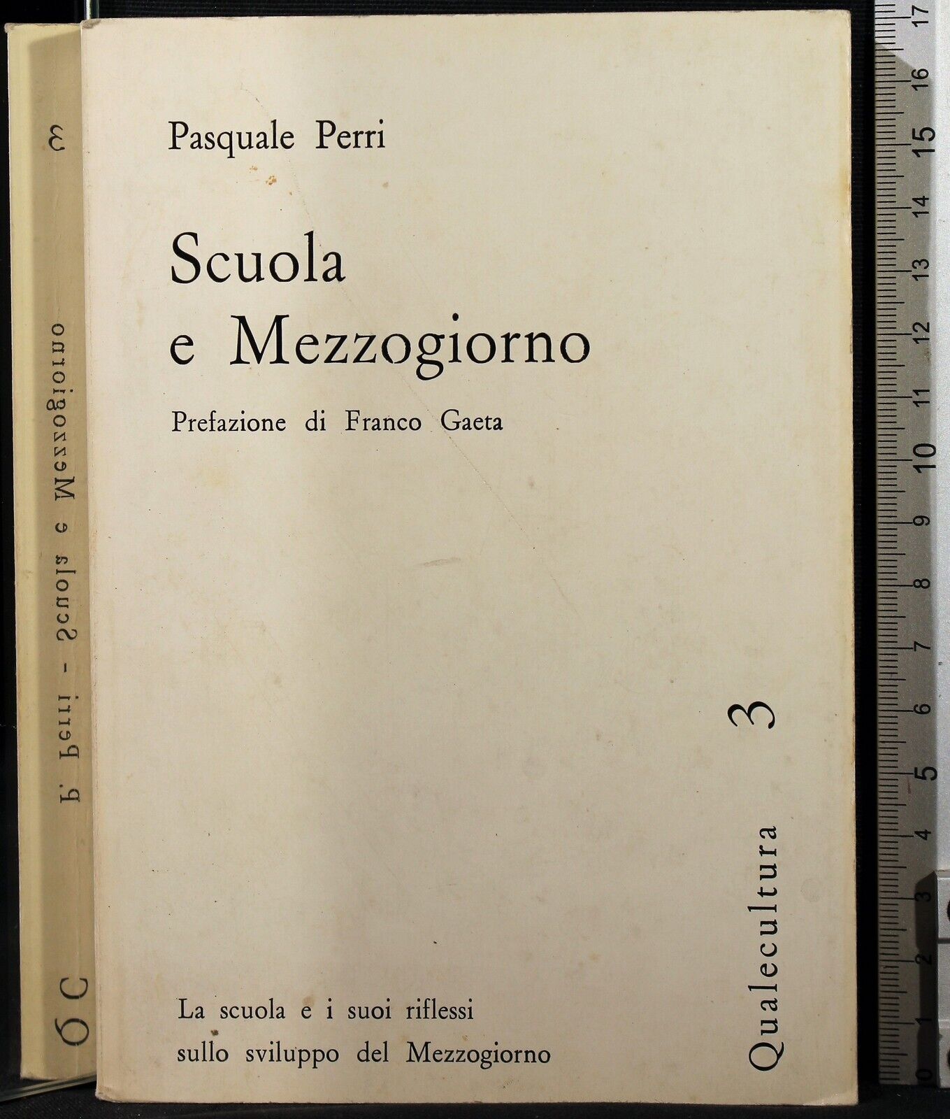 Scuola e Mezzogiorno