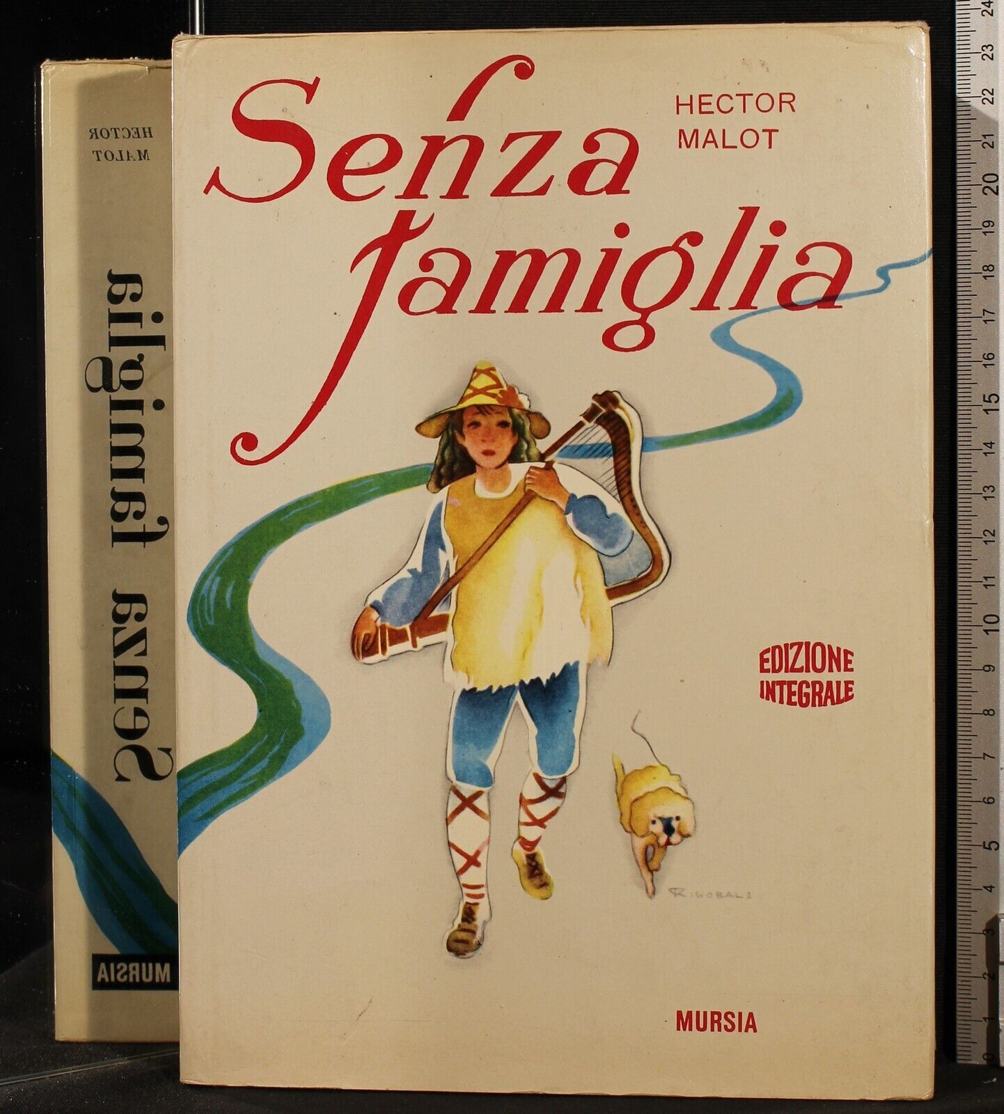 Senza famiglia