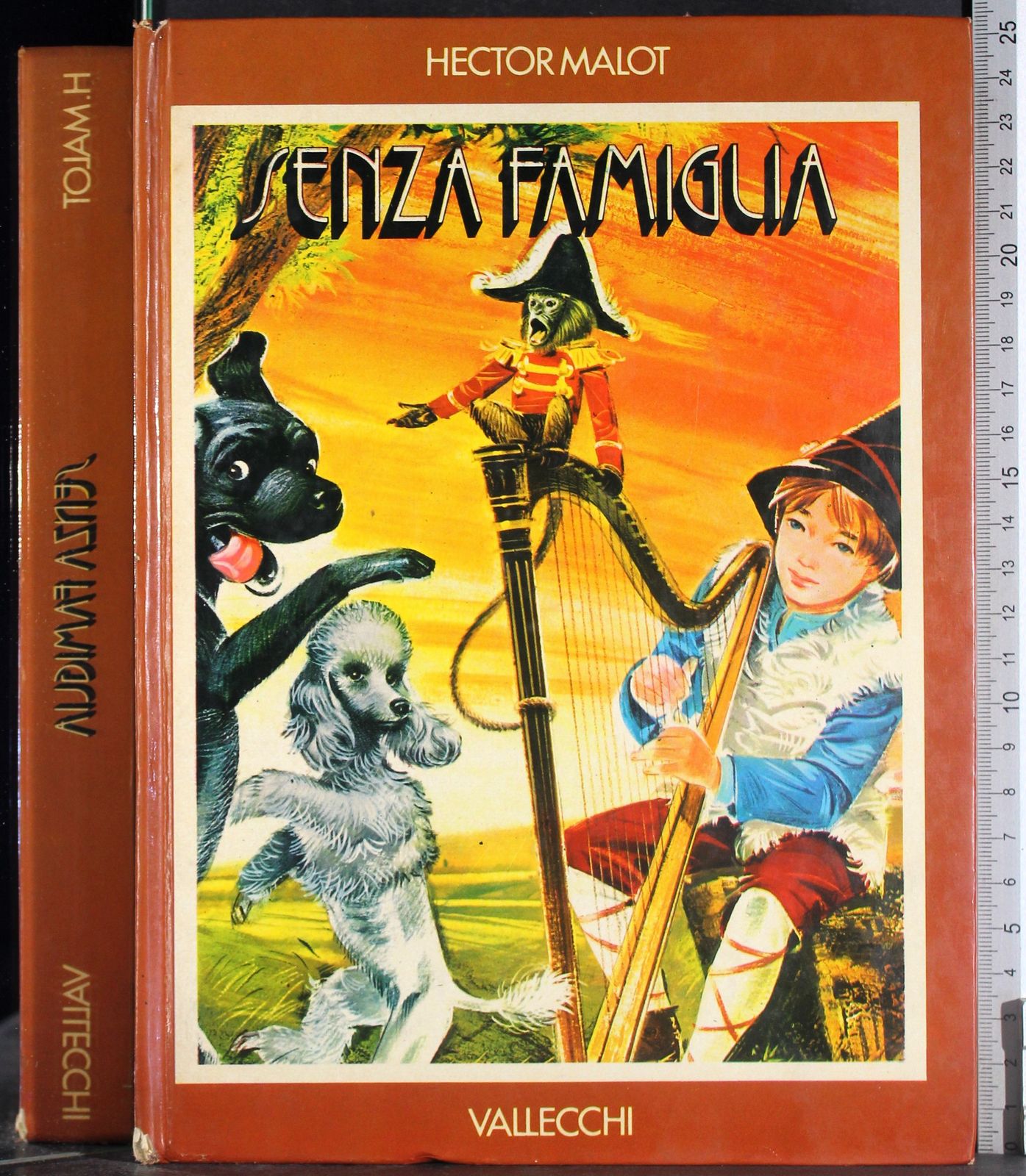 Senza famiglia