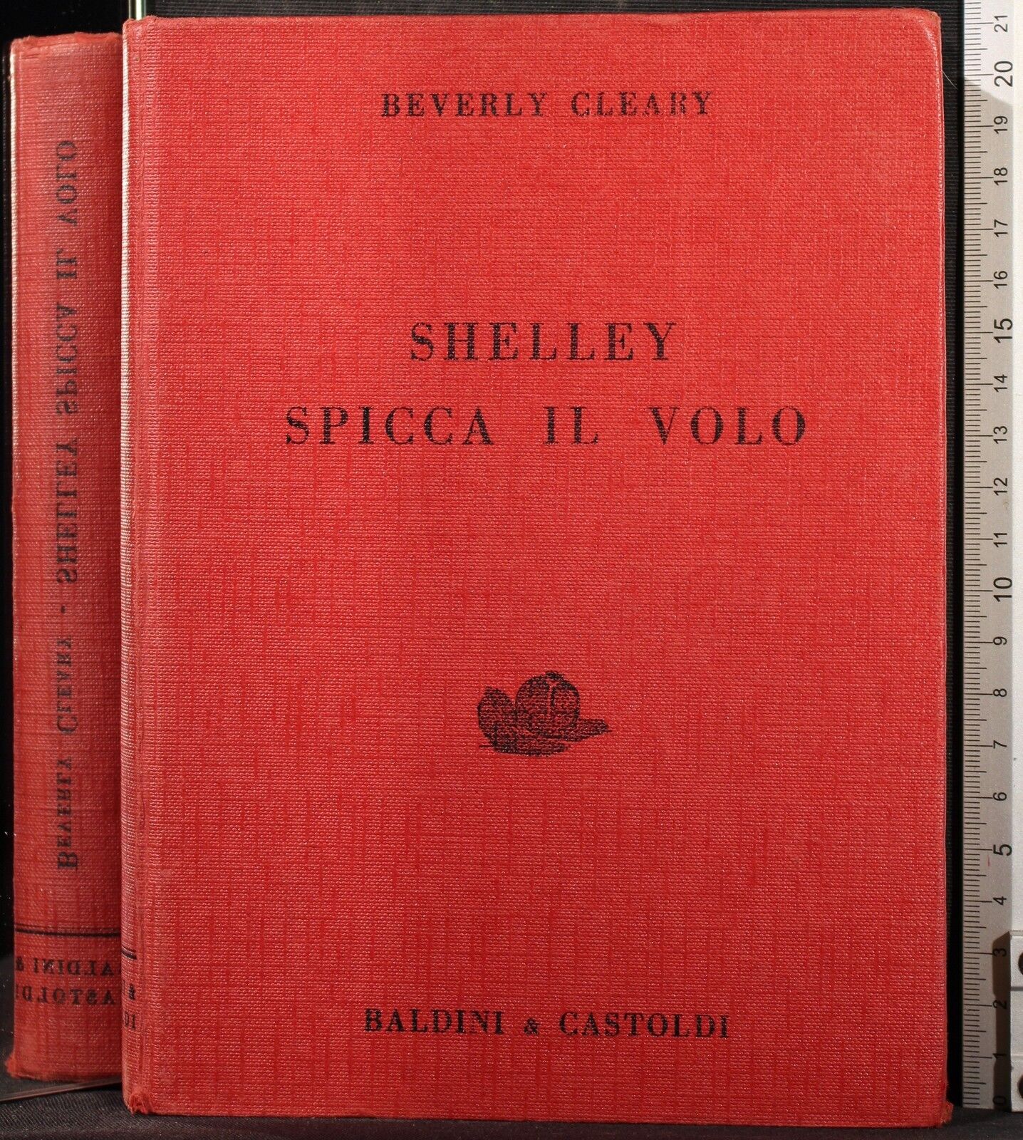 Shelley spicca il volo