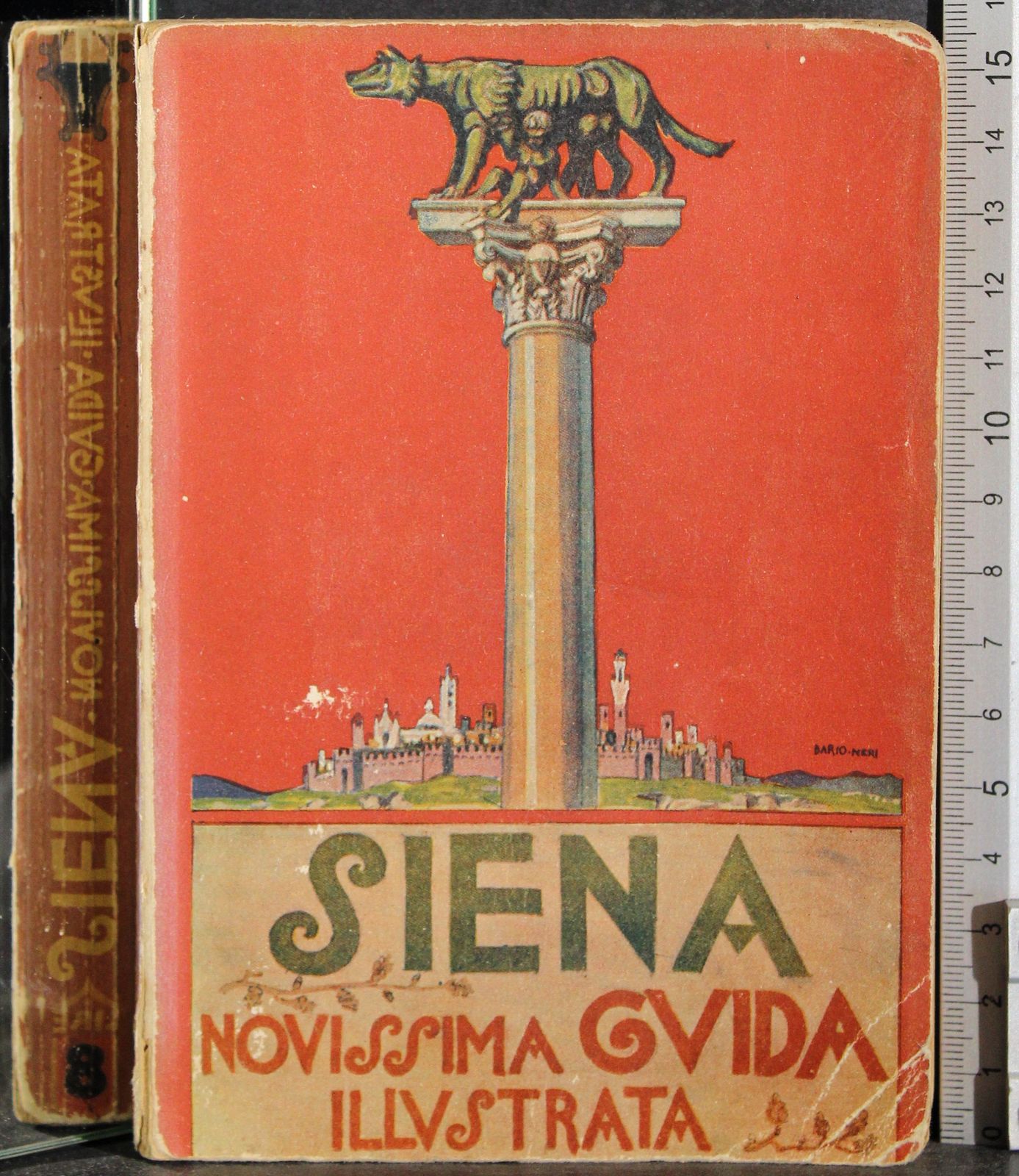 Siena. Nuovissima guida