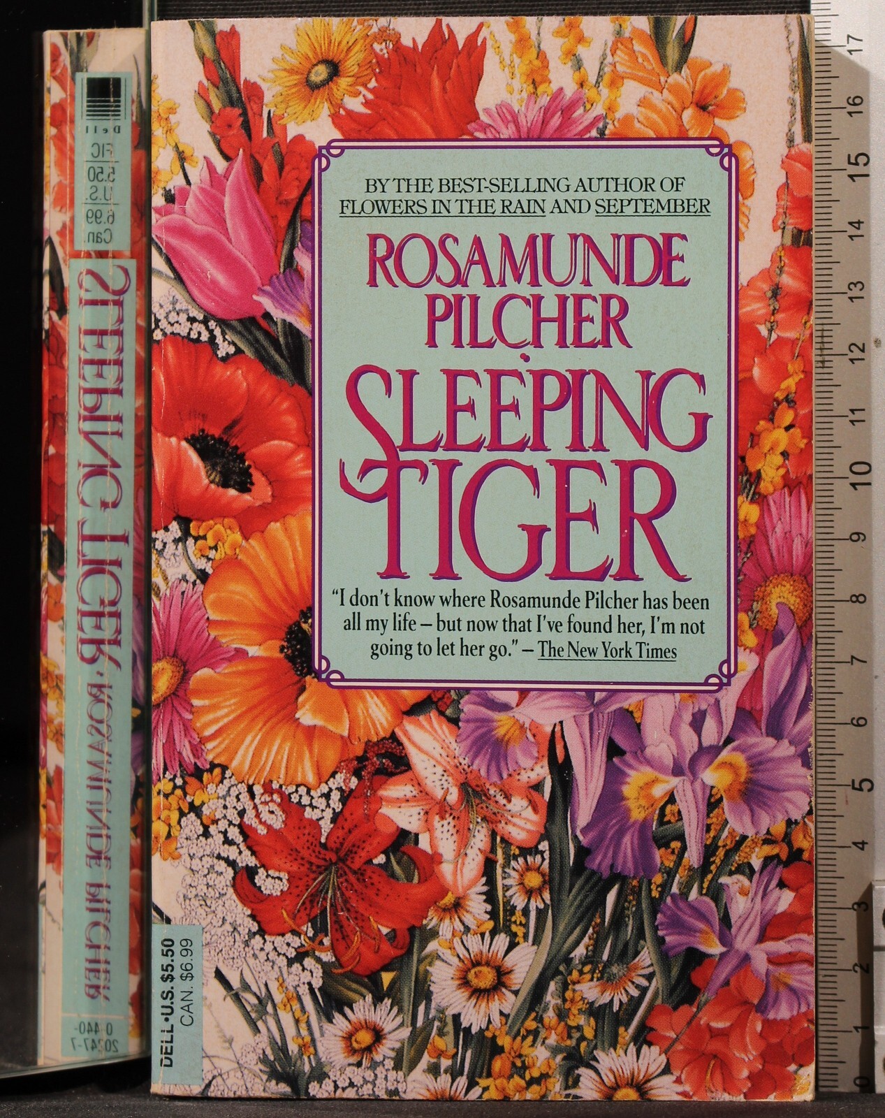 Sleeping Tiger