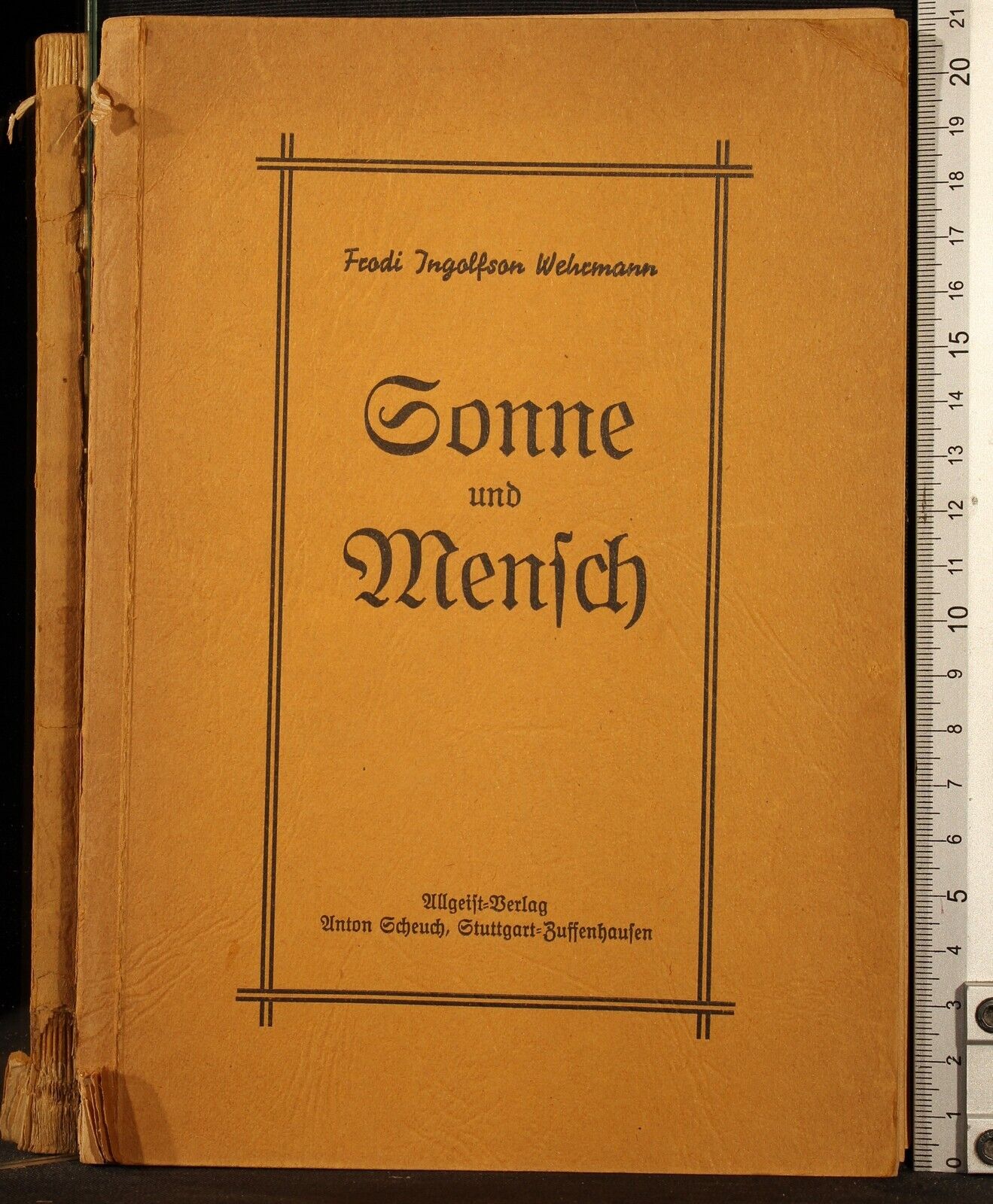 Sonne und mensch