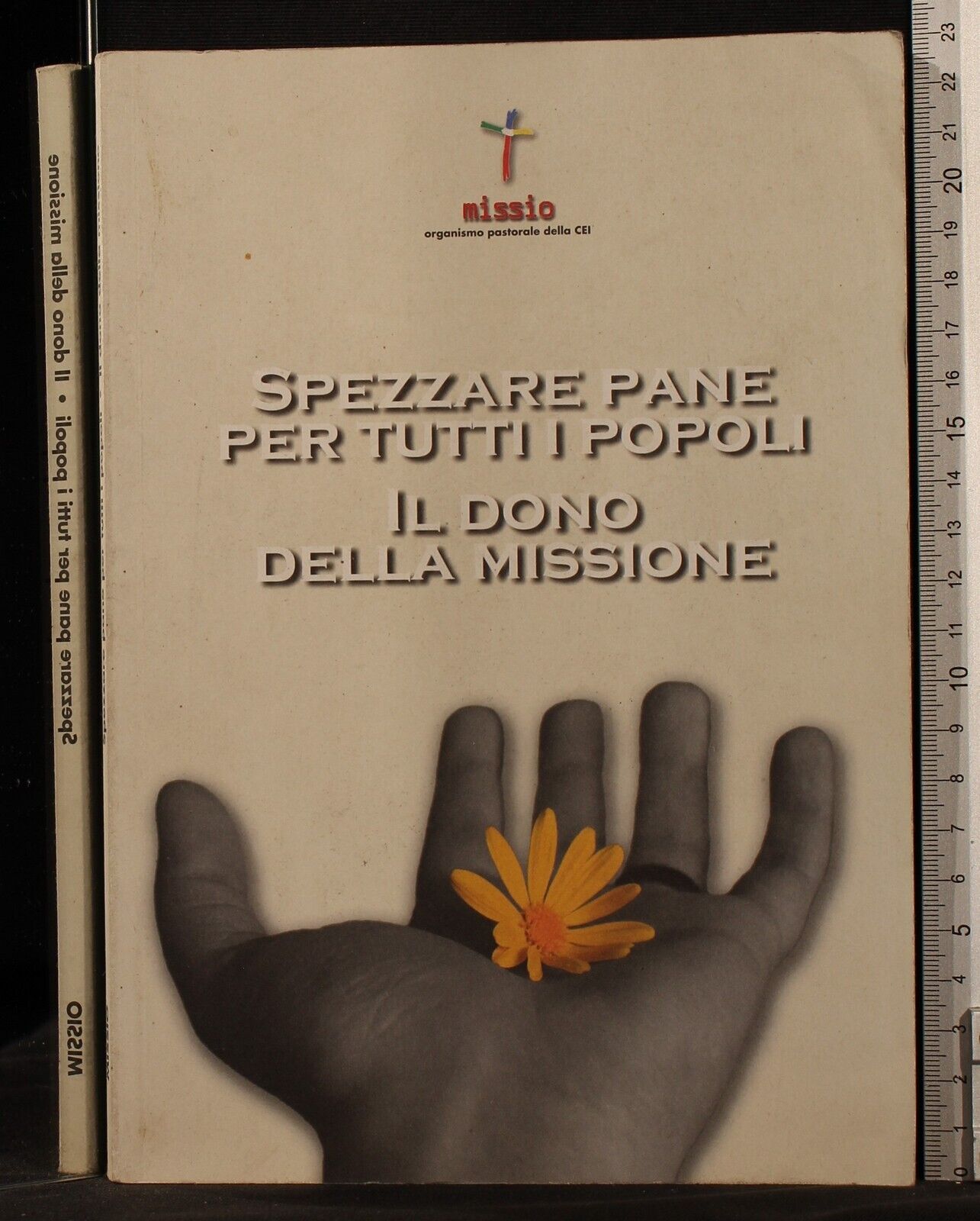 Spezzare pane per tutti i popoli. Il dono della missione