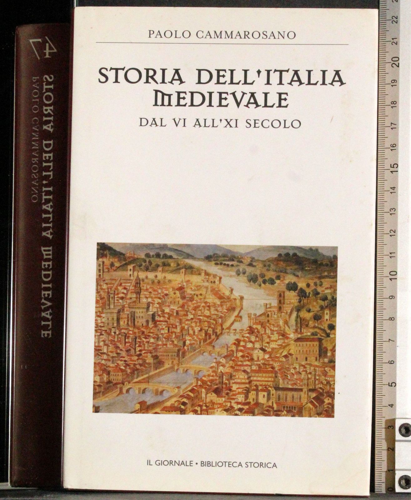 Storia dell'Italia medievale. Dal VI all'XI sec