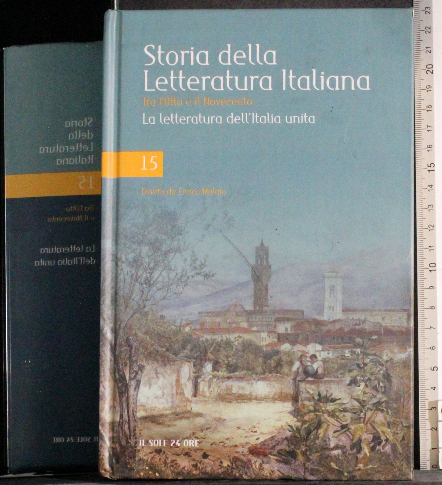 Storia della letteratura Italiana 15. Tra 800 e il 900