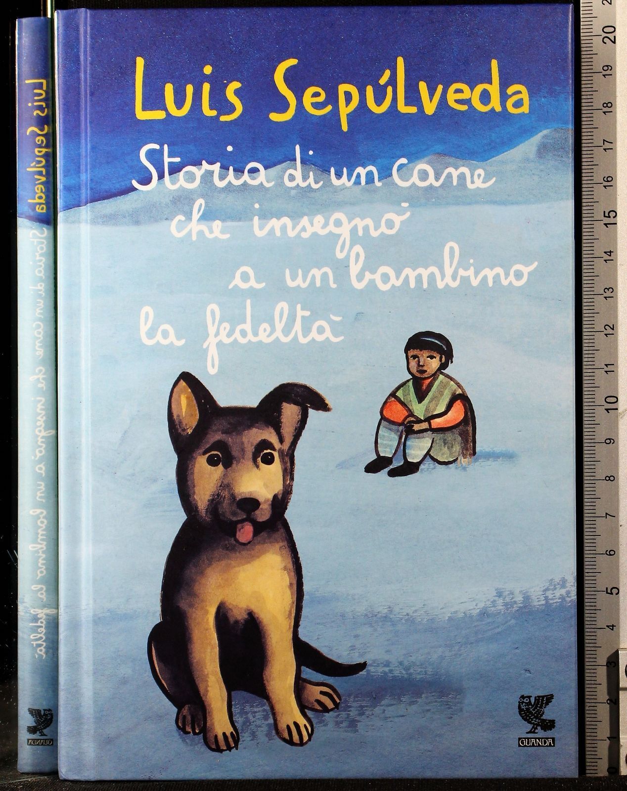 Storia di un cane che insegno a un bambino la …