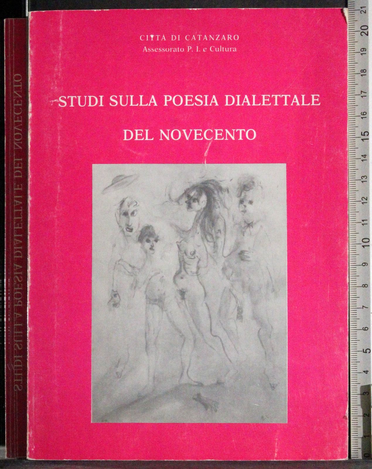 Studi sulla poesia dialettale del Novecento