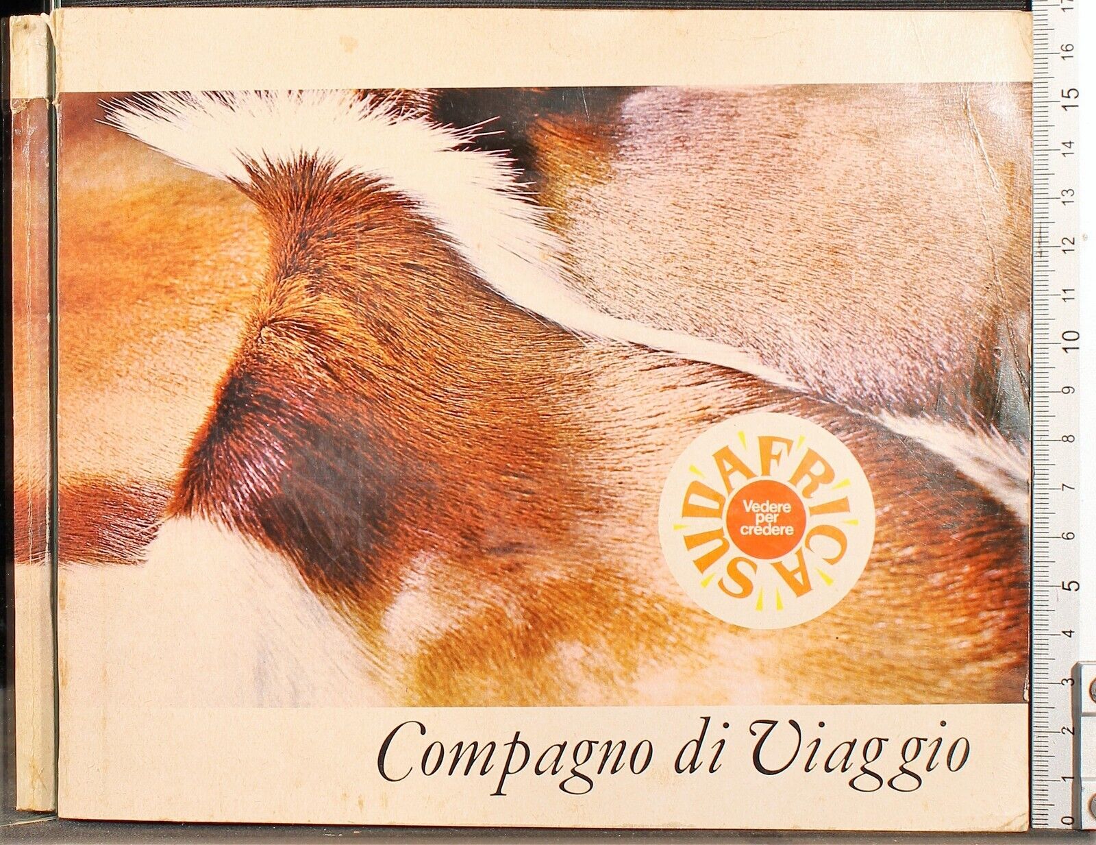 Sud Africa. Compagno di viaggio