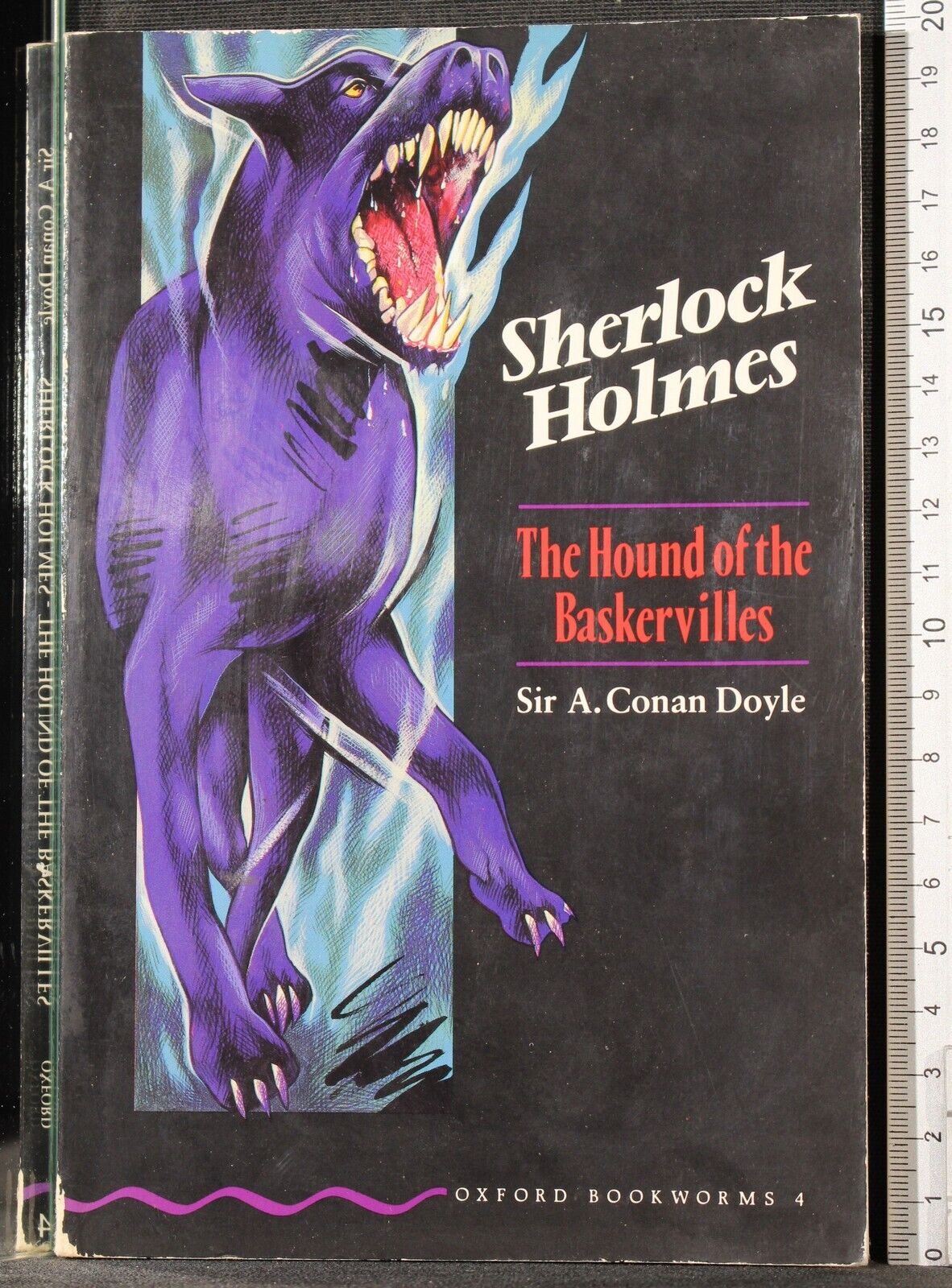 The hound of the Baskerville