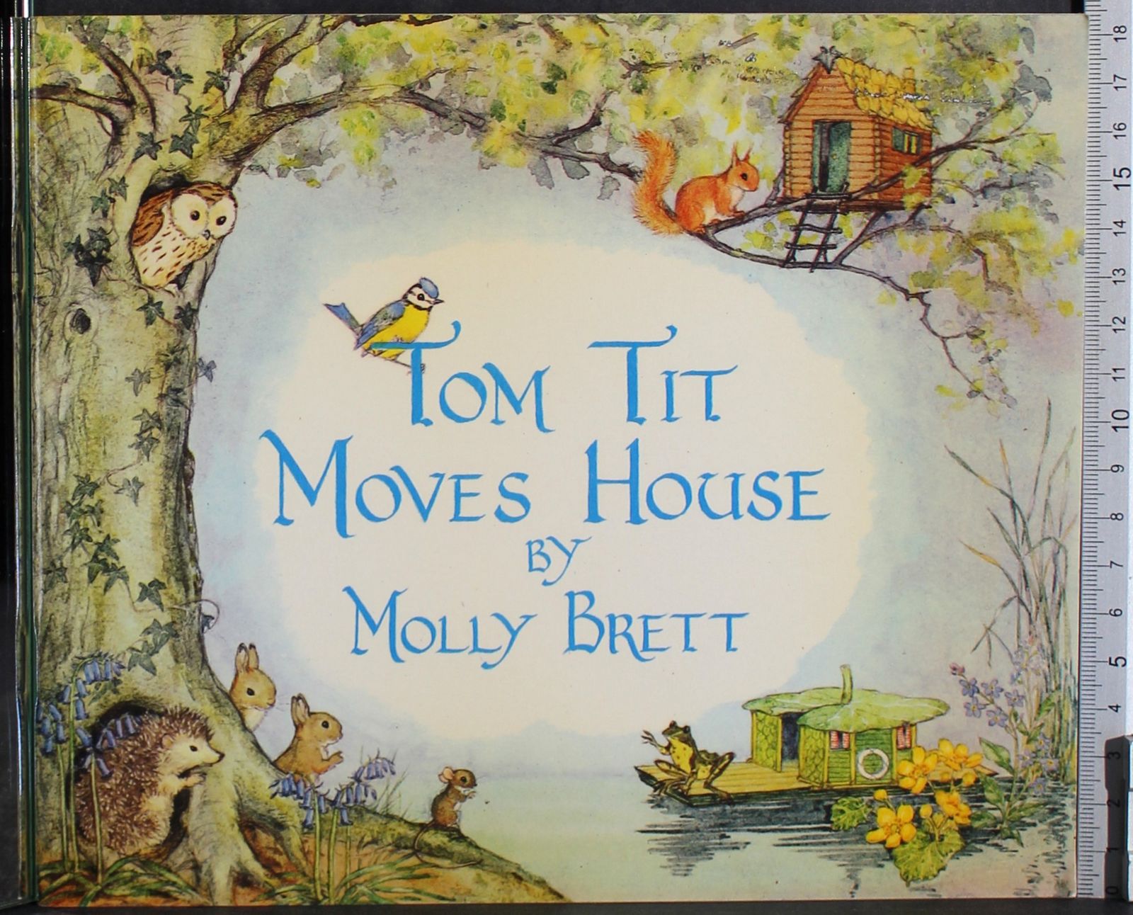 Tom tit moves house