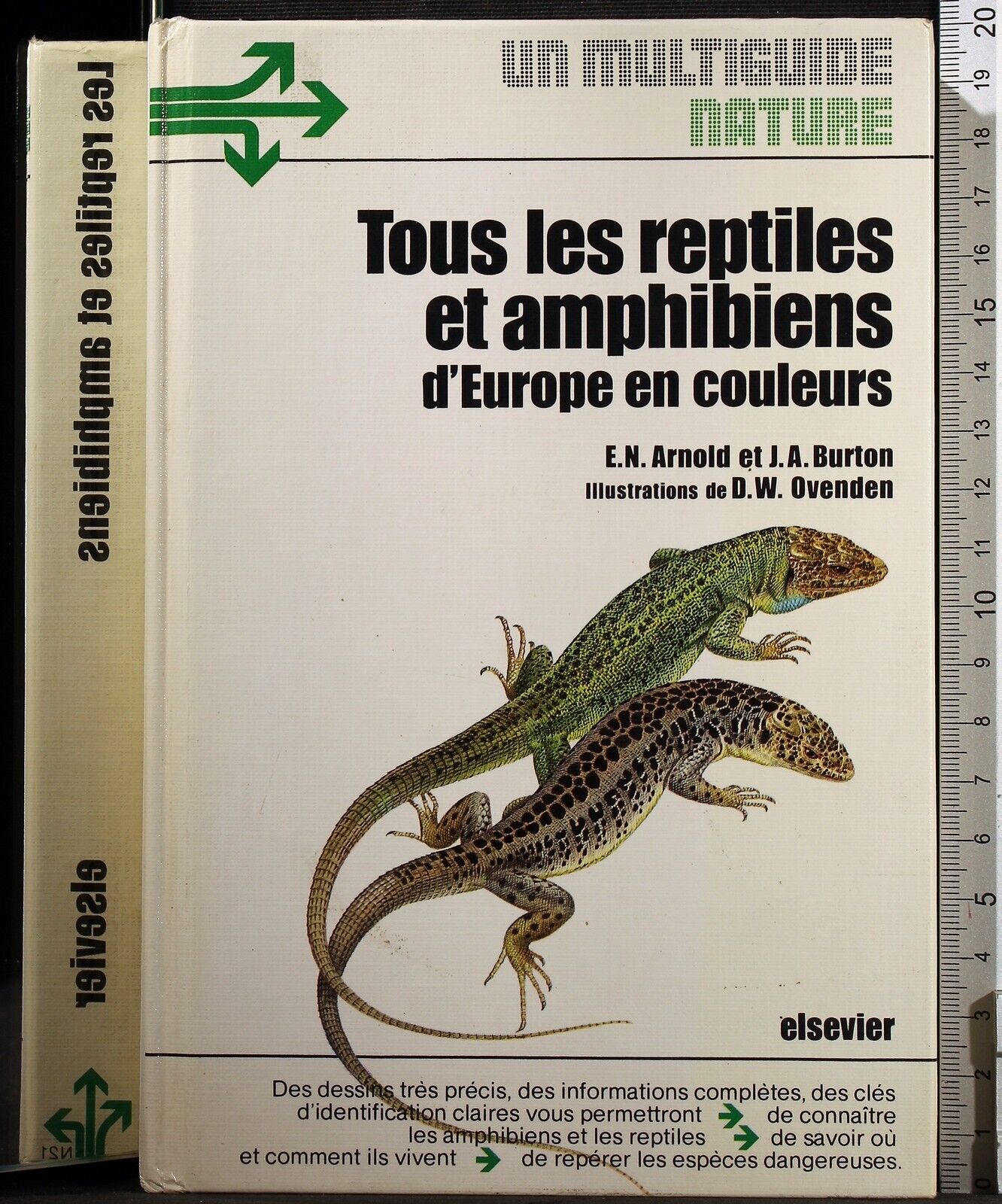 Tous les reptiles et amphibiens d'Europe en couleurs