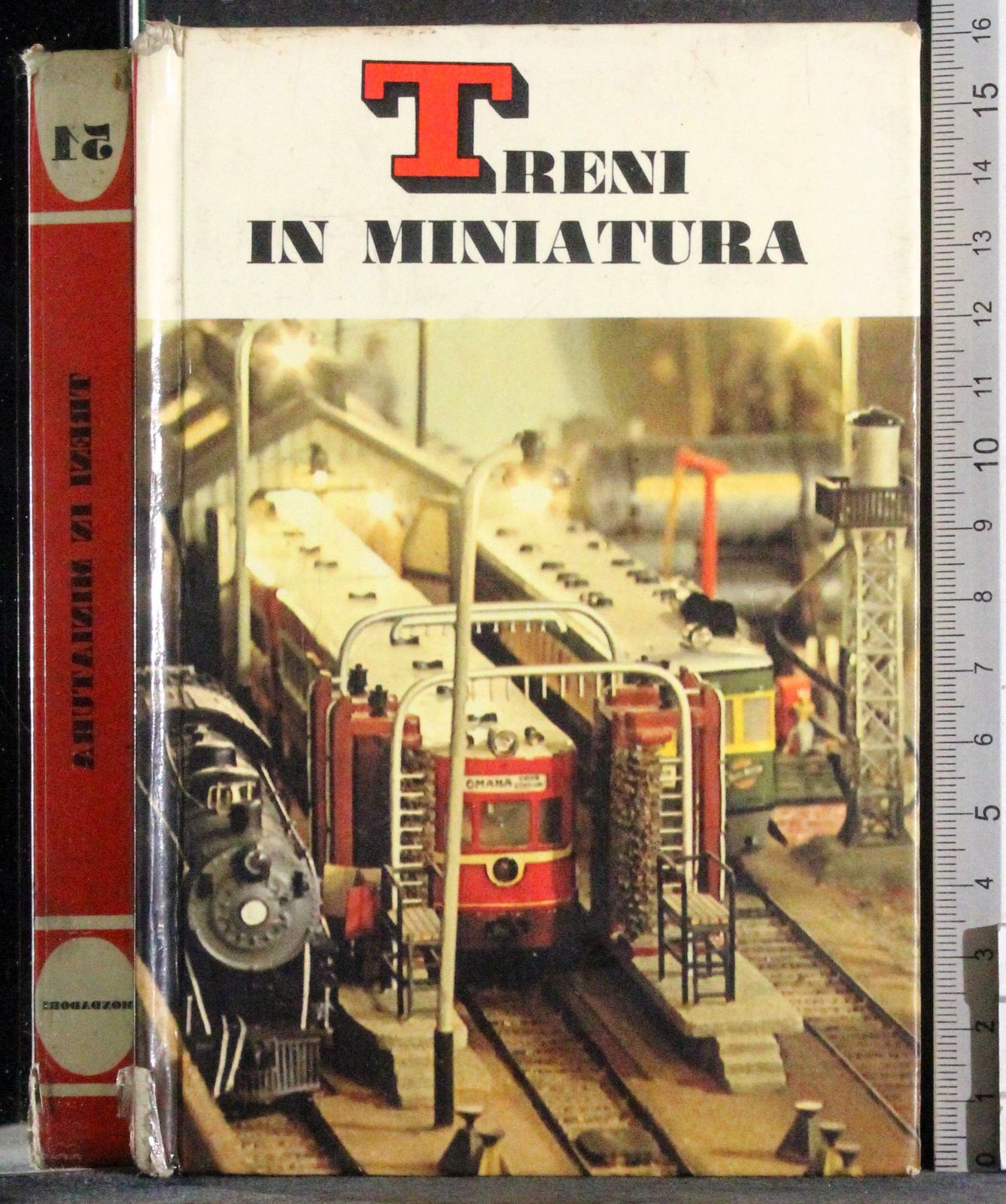 Treni in miniatura