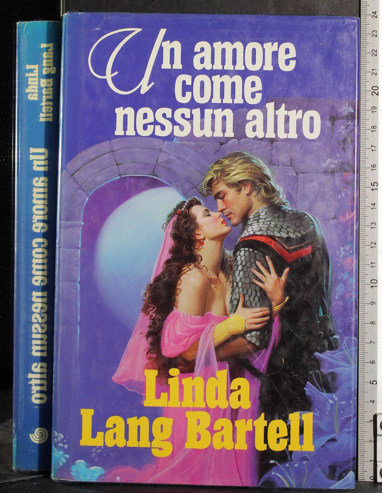 Un amore come nessun altro