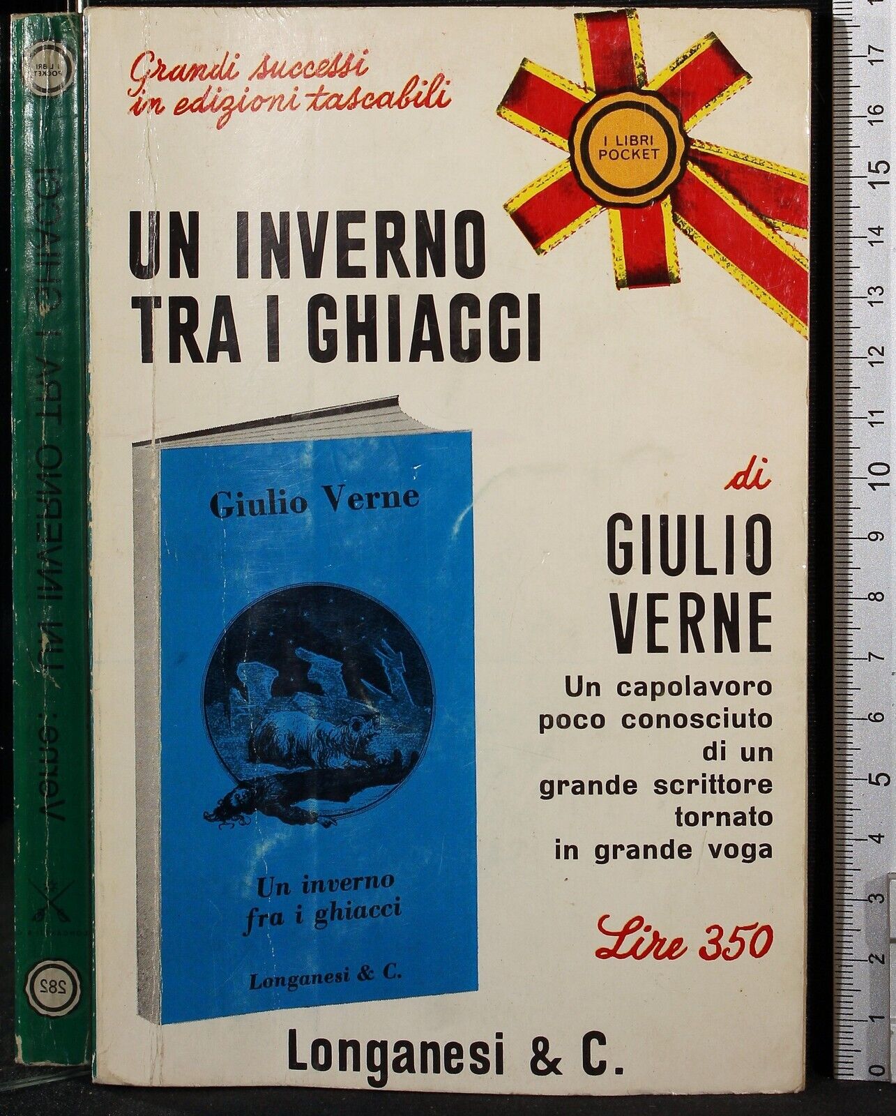 Un inverno tra i ghiacci