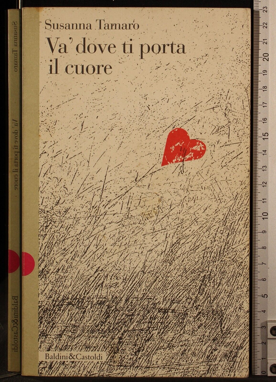 Va dove ti porta il cuore