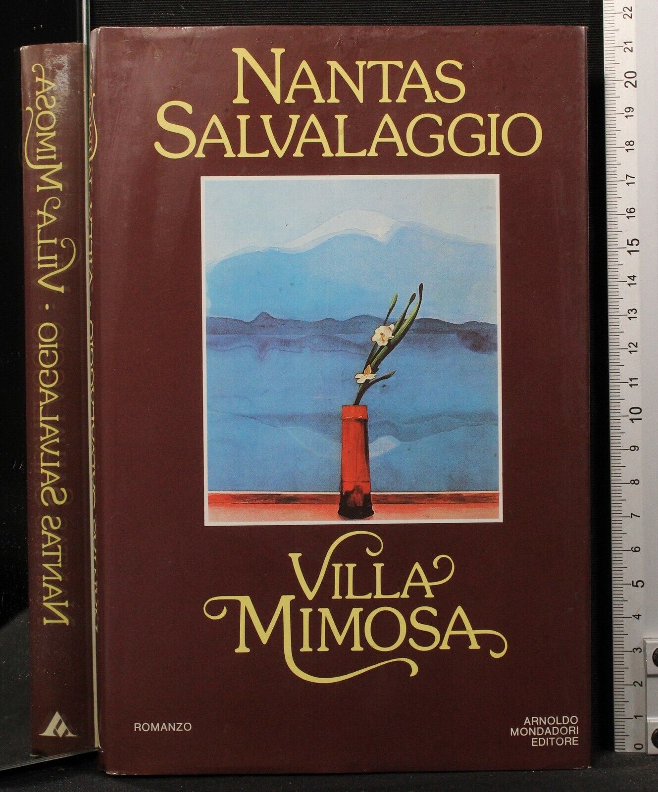 Villa Mimosa