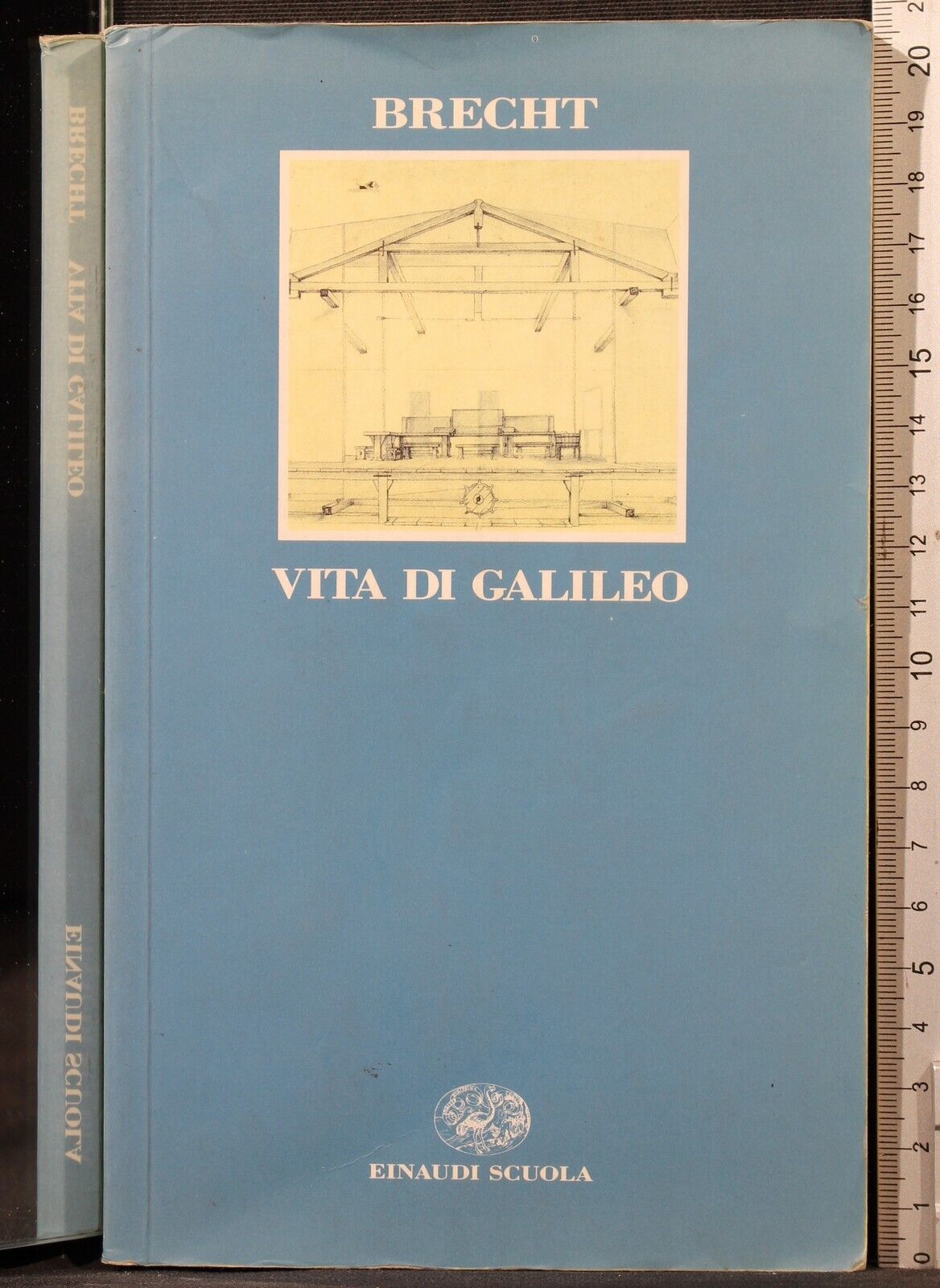 Vita di Galileo
