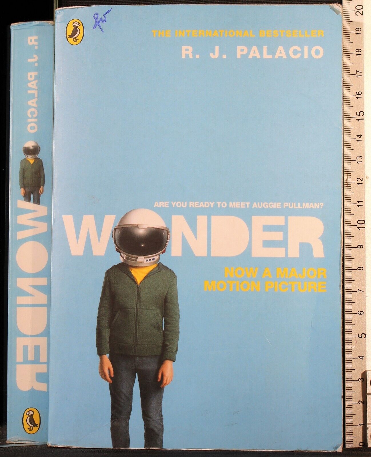 Wonder
