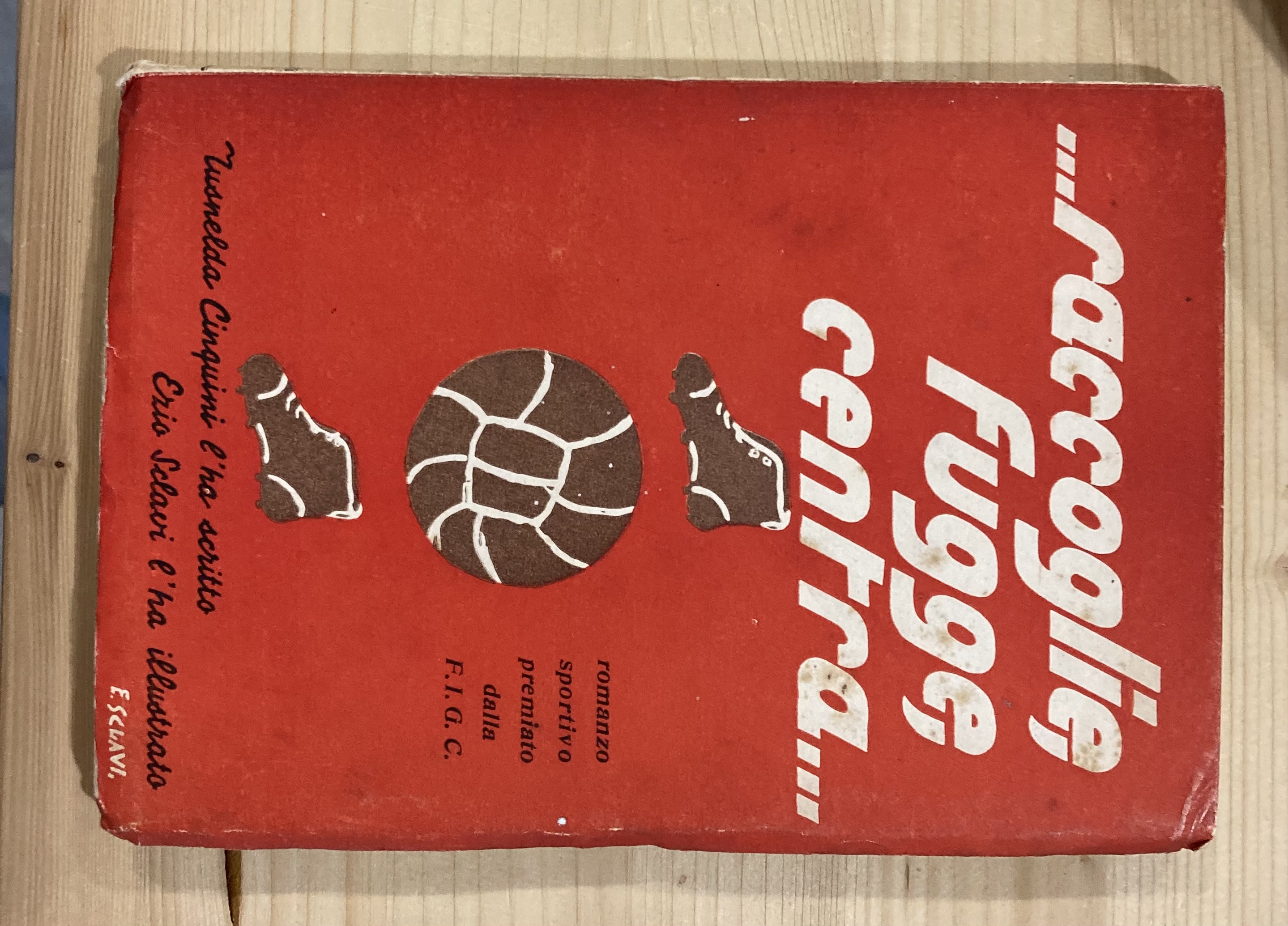 .raccoglie, fugge, centra. Romanzo sportivo