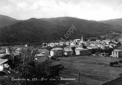 Bardineto panorama