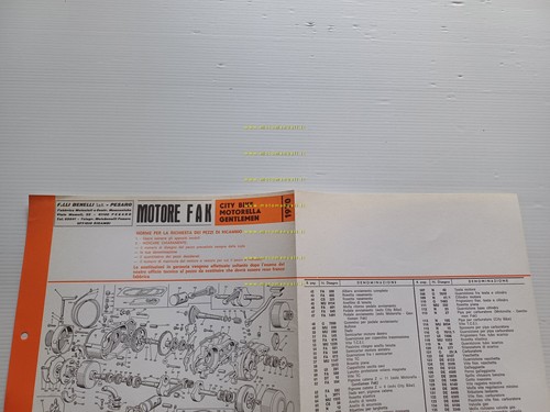Benelli 49 Motore Citybike Motorella Gentleman 1970 catalogo ricambi originale
